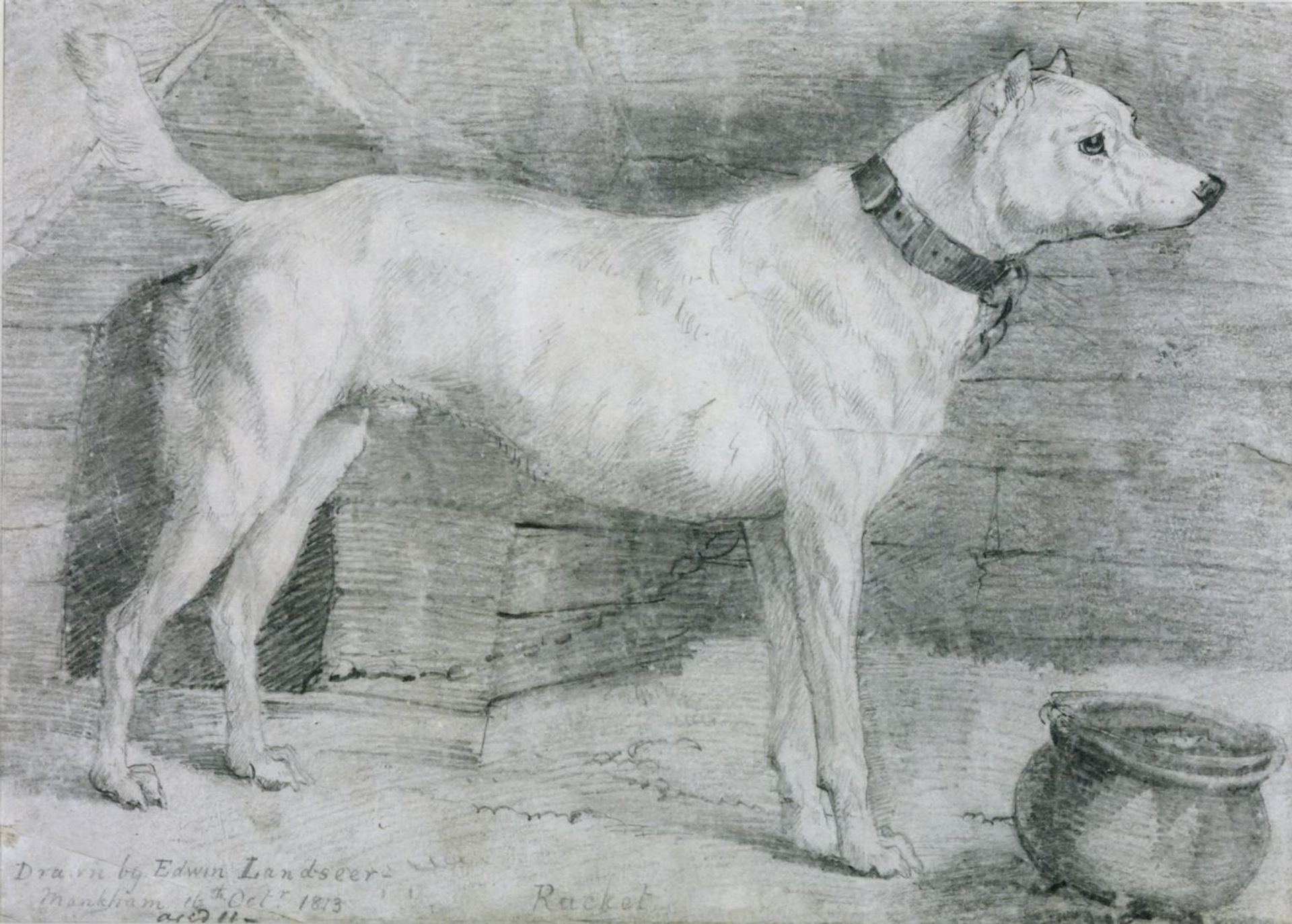 The Dog ‘Racket’ by  Sir Edwin Henry Landseer