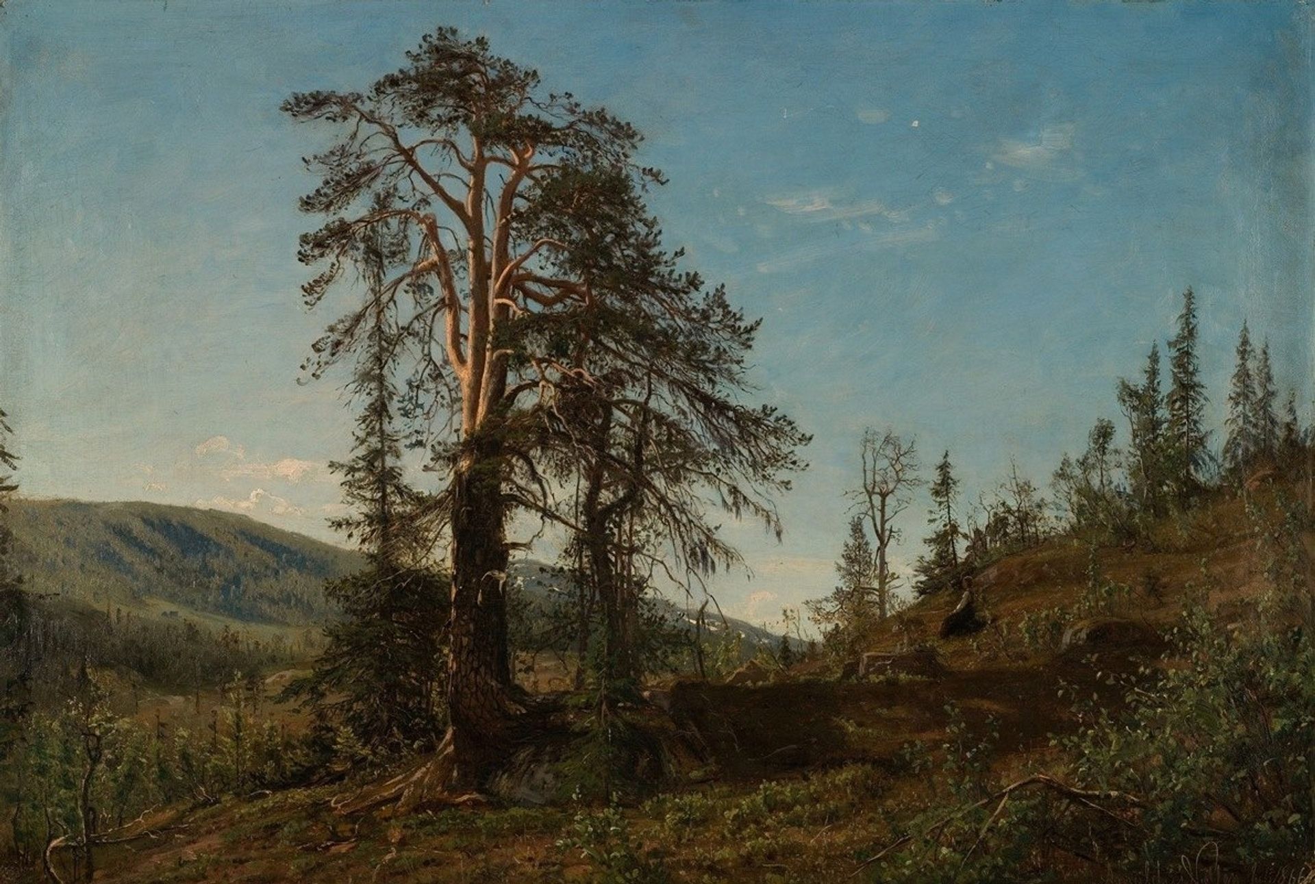 I Vingeråsheia, Telemark by Amaldus Nielsen