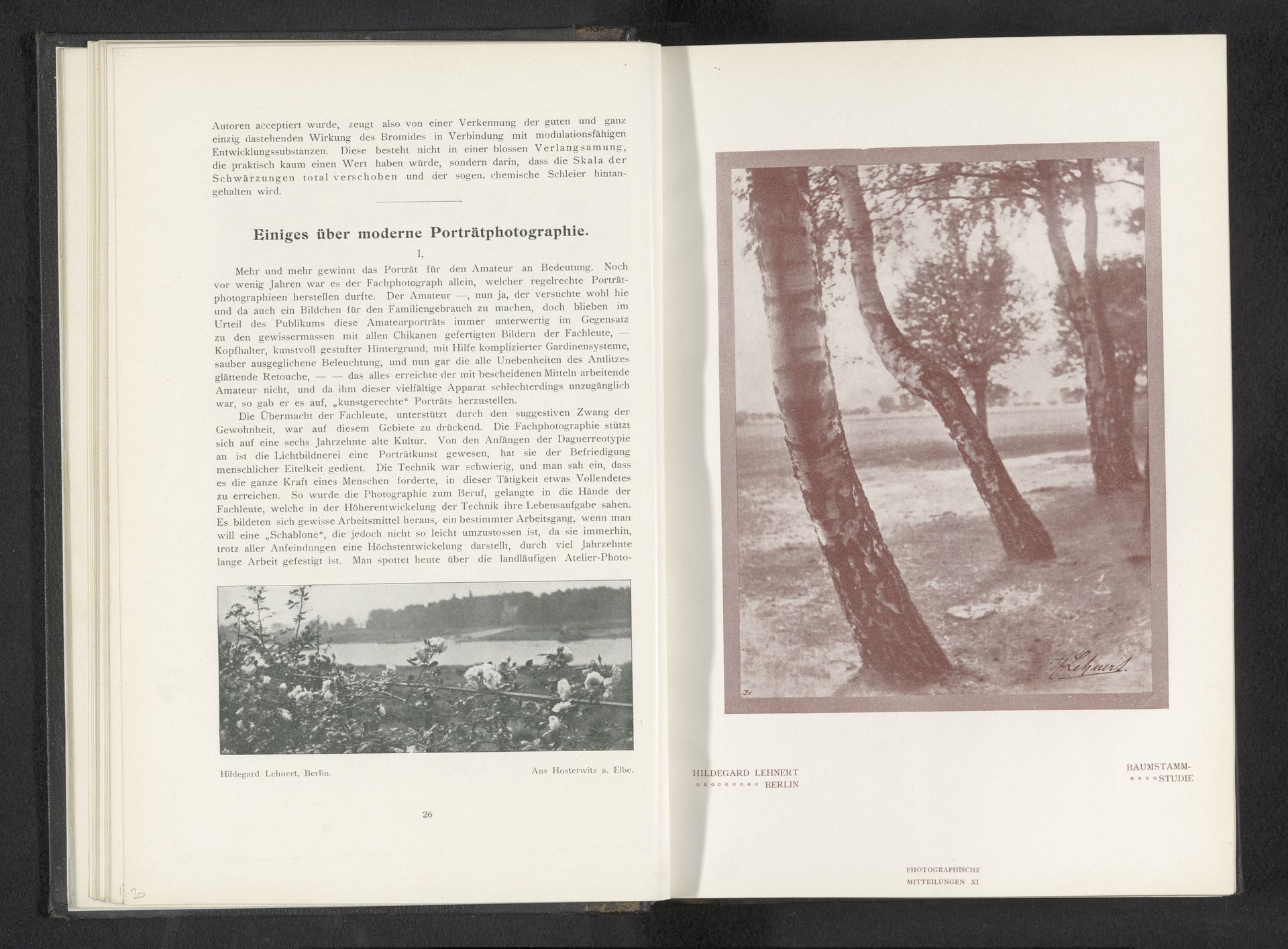 Gezicht op Hosterwitz en de Elbe by Hildegard Lehnert