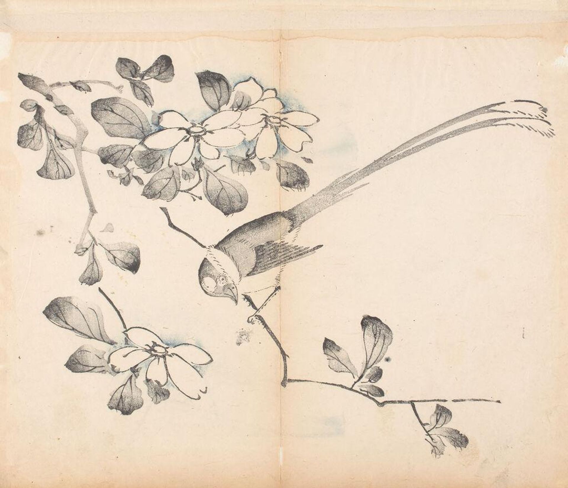 Bird on a Flowering Branch -- Illustration from the Ten Bamboo Studio Manual of Calligraphy and Painting (Shizhuzhai shuhua pu) by Hu Zhengyan