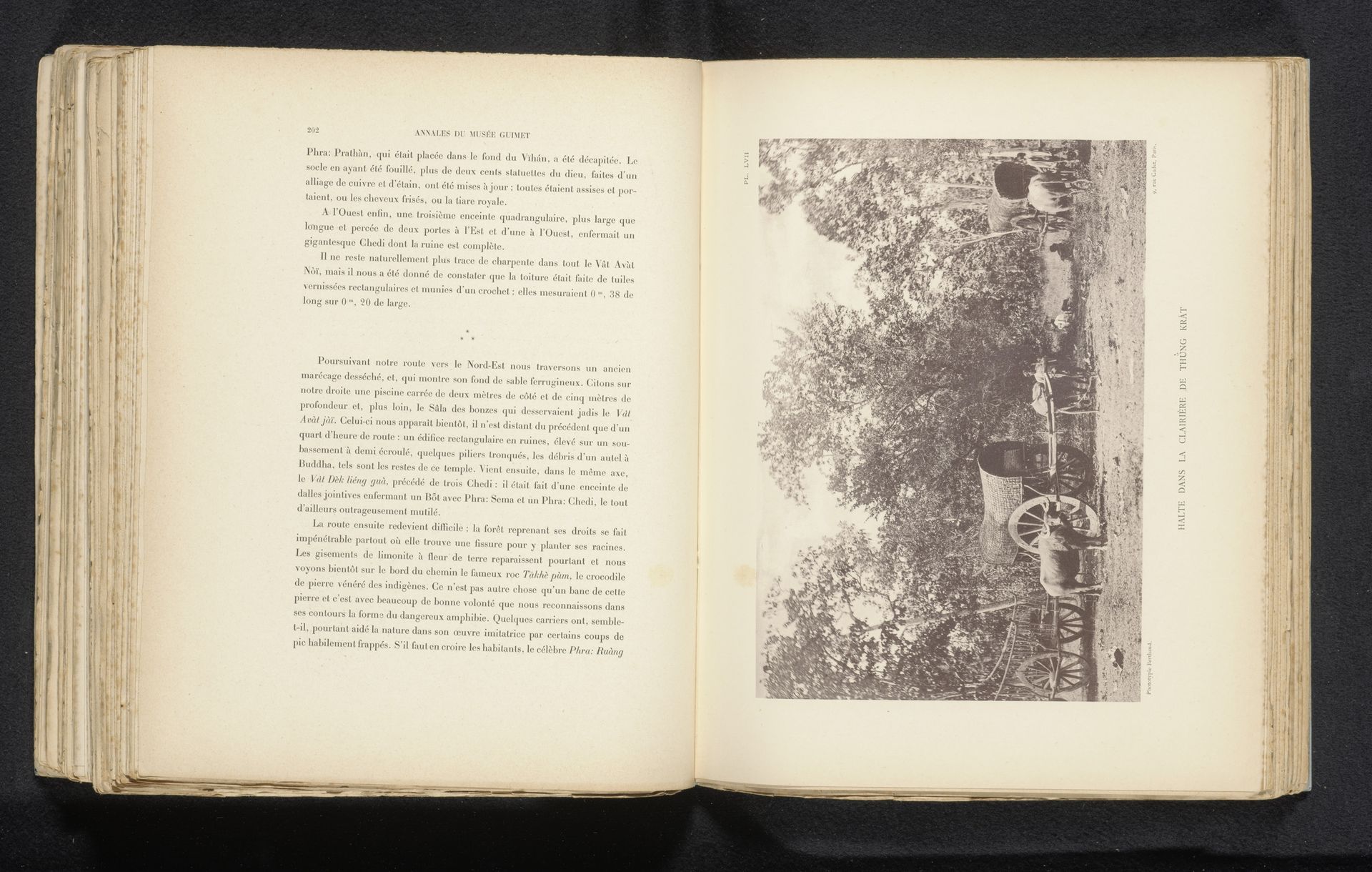 Onbekende man met karren met buffels voor bomen by Michel Berthaud