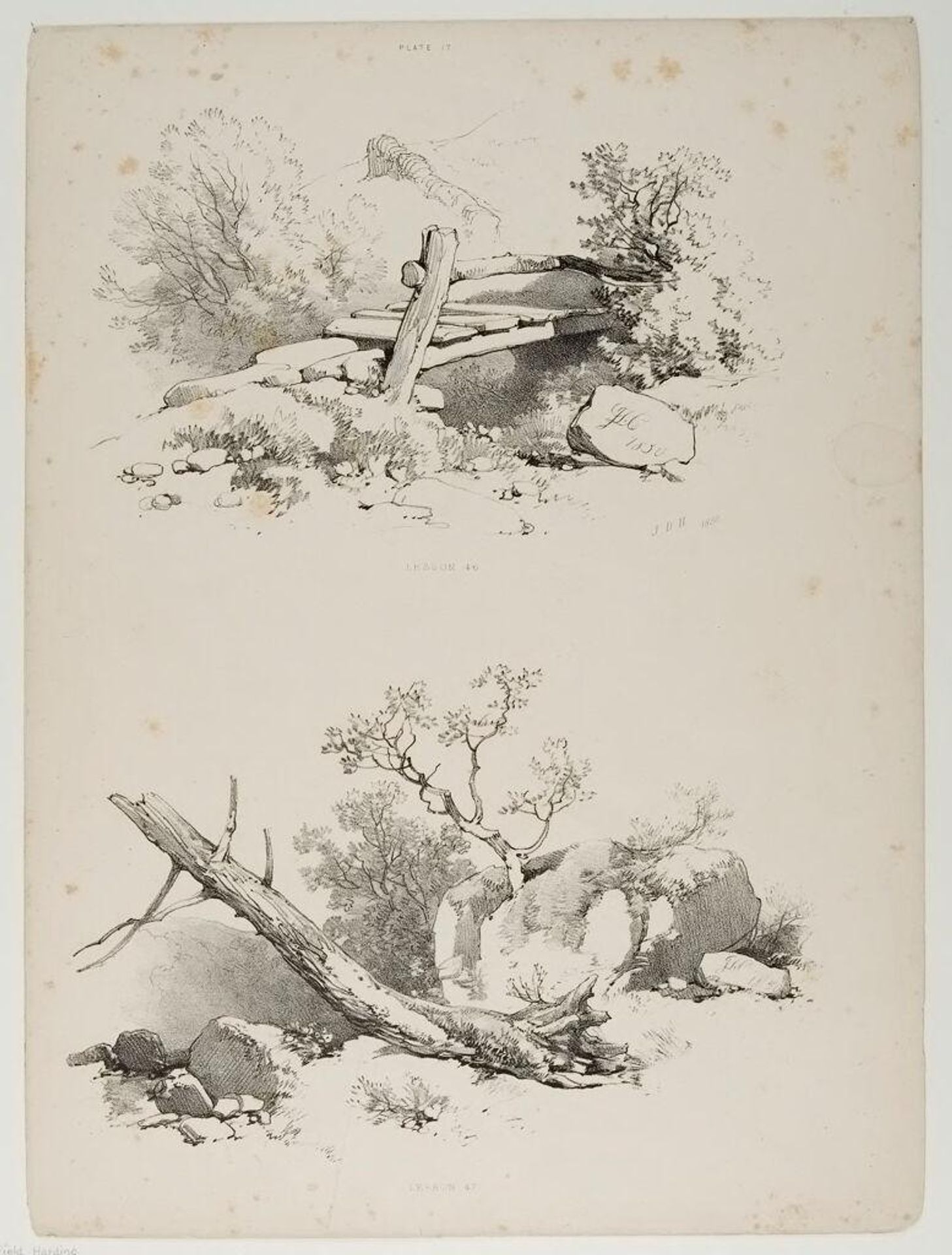 Lessons on Trees, plate 17 by James Duffield Harding