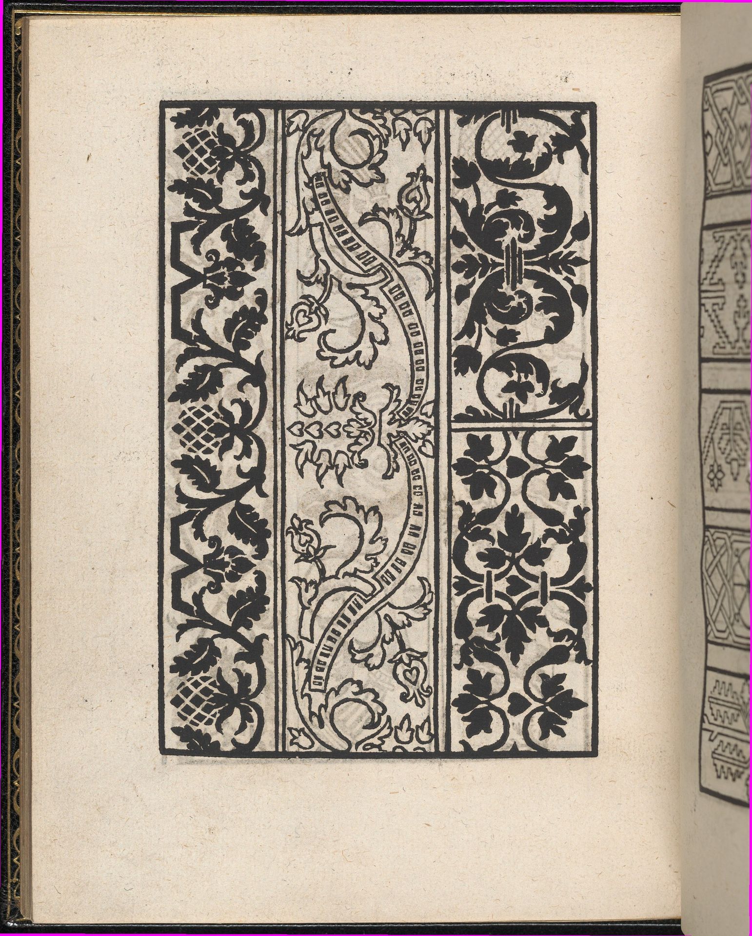 Page from Ein new kunstlich Modelbuch...(Page 43v) by Peter Quentel