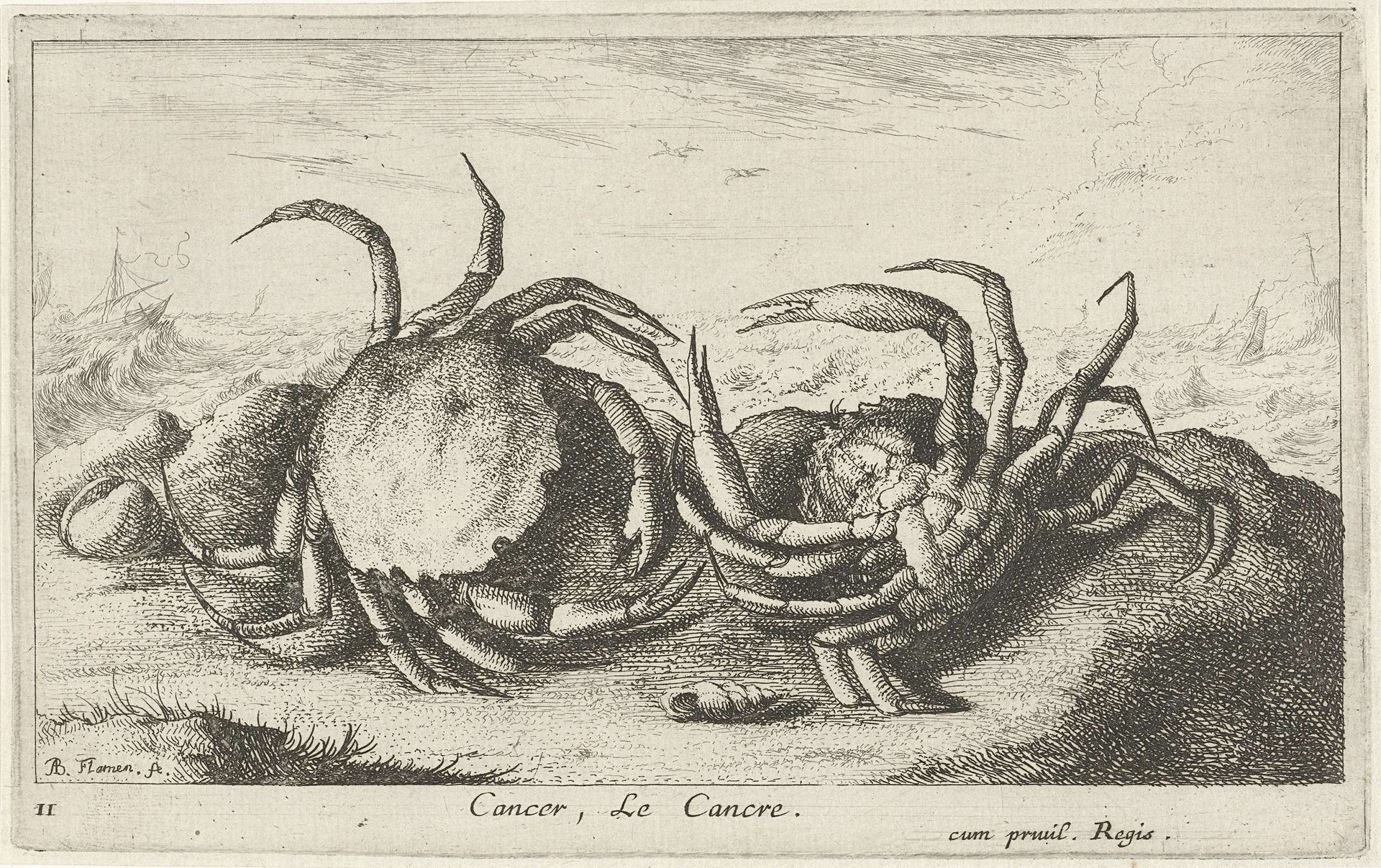 Twee krabben op het strand by Albert Flamen