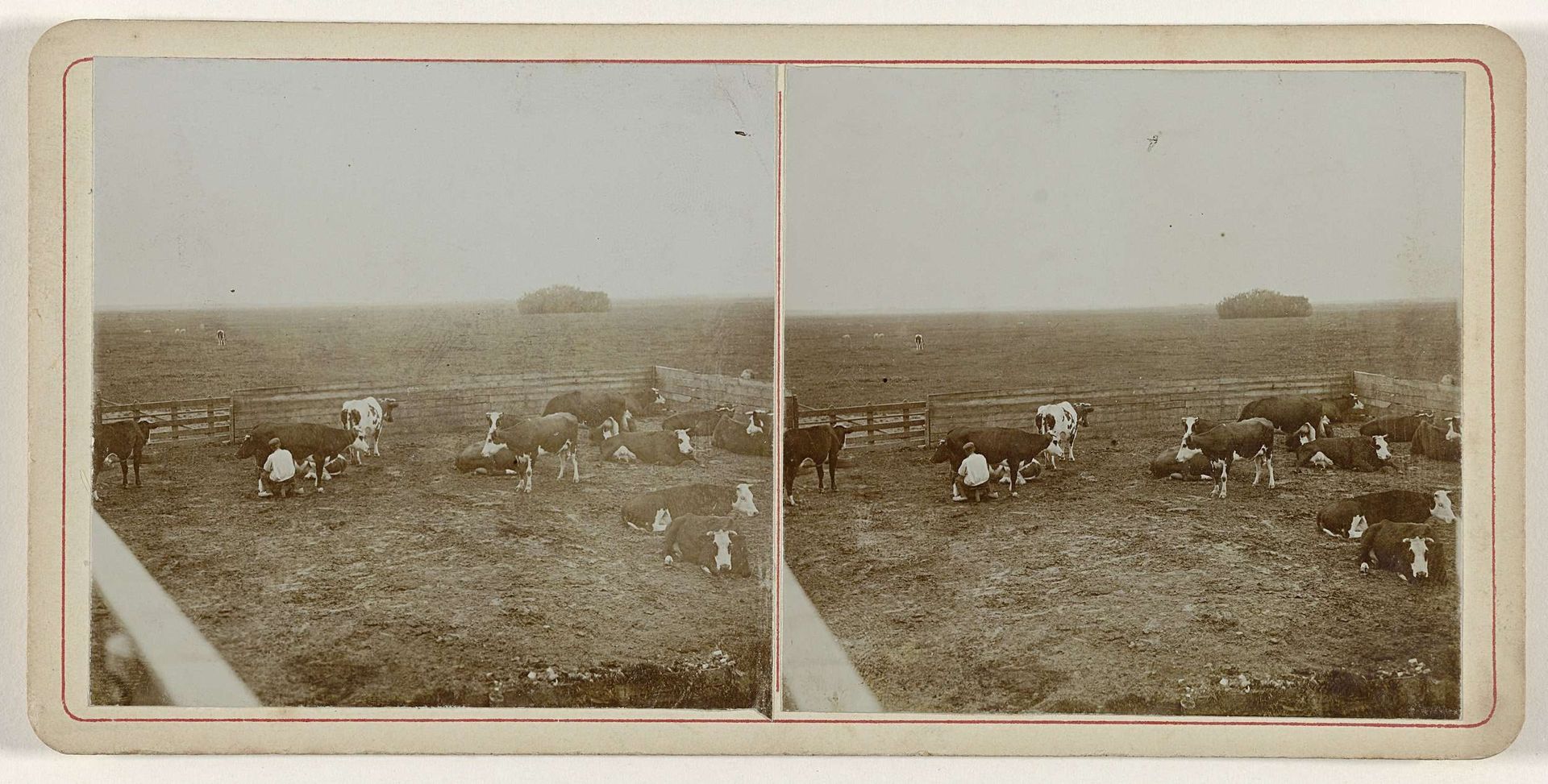 Het melken van een koe in het veld bij Noordwijk by Geldolph Adriaan Kessler