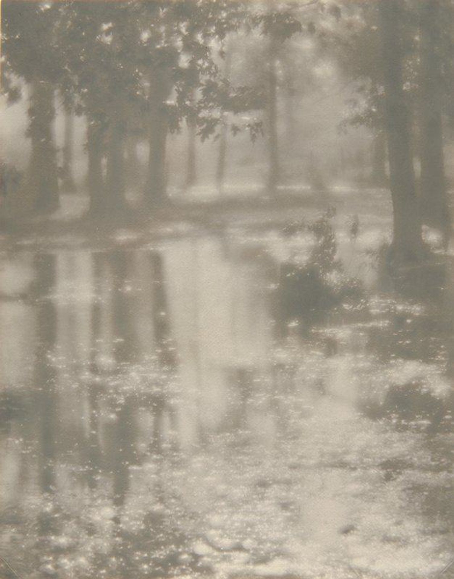 After the Shower by C. Frankenberger