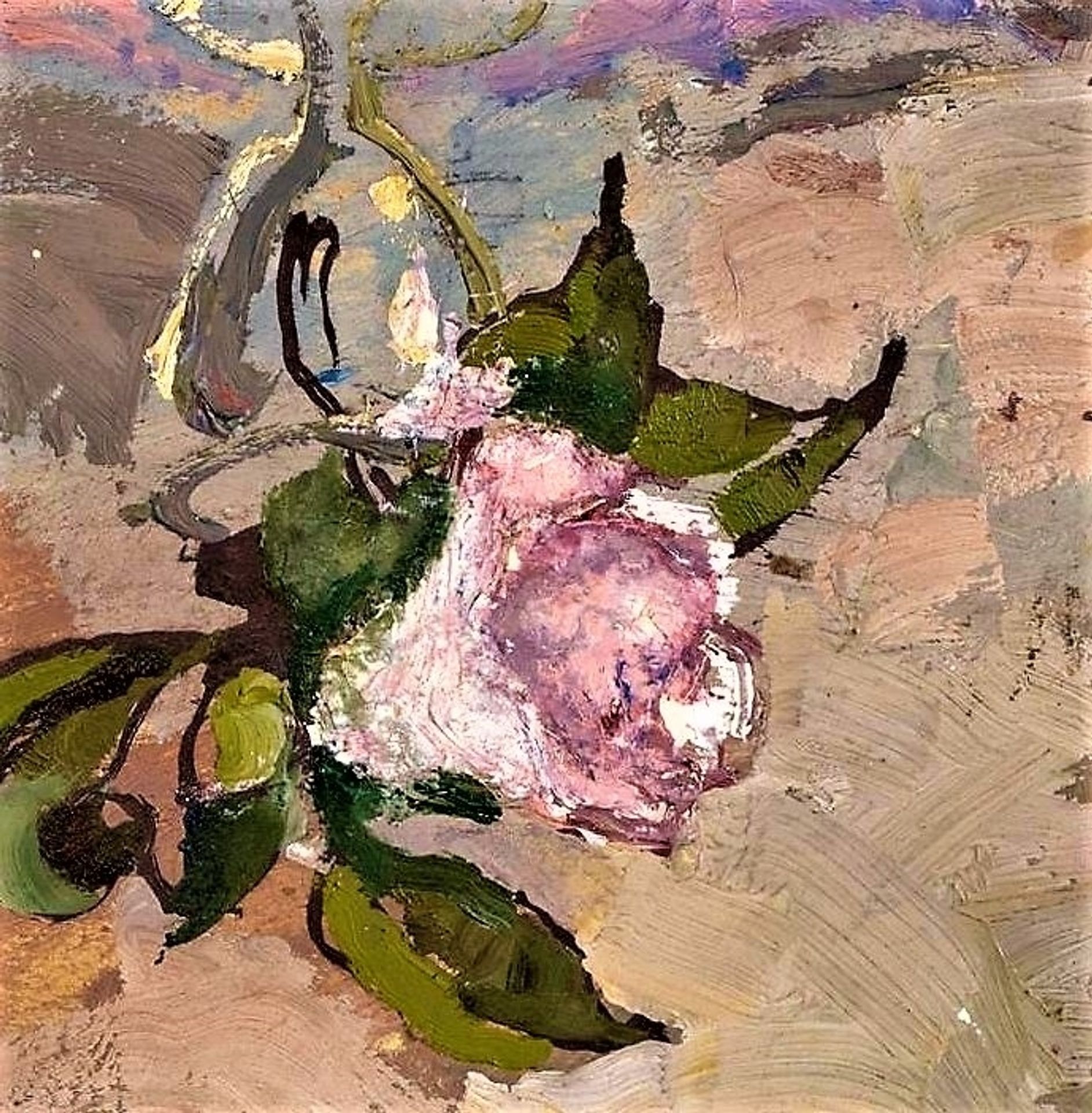 Flower RETRO IMAGE - DinksFãStan Private Collection by Gregoire Boonzaier