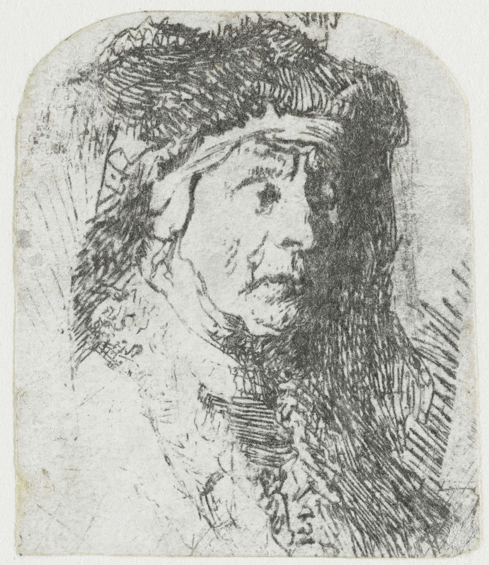 Woman in a Fur-trimmed Cloak by Rembrandt van Rijn