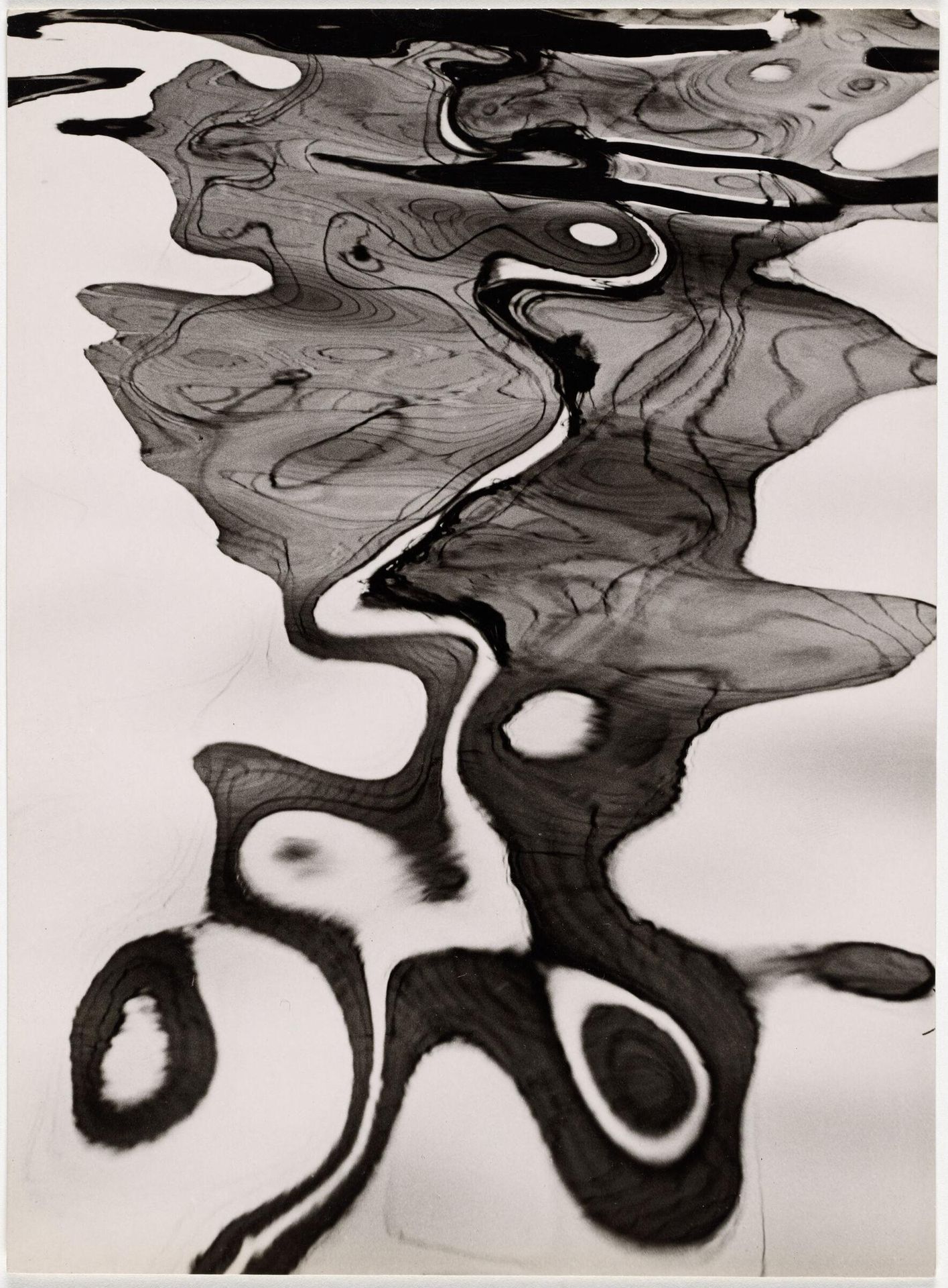 Mirroring in Water II by Siegfried Lauterwasser