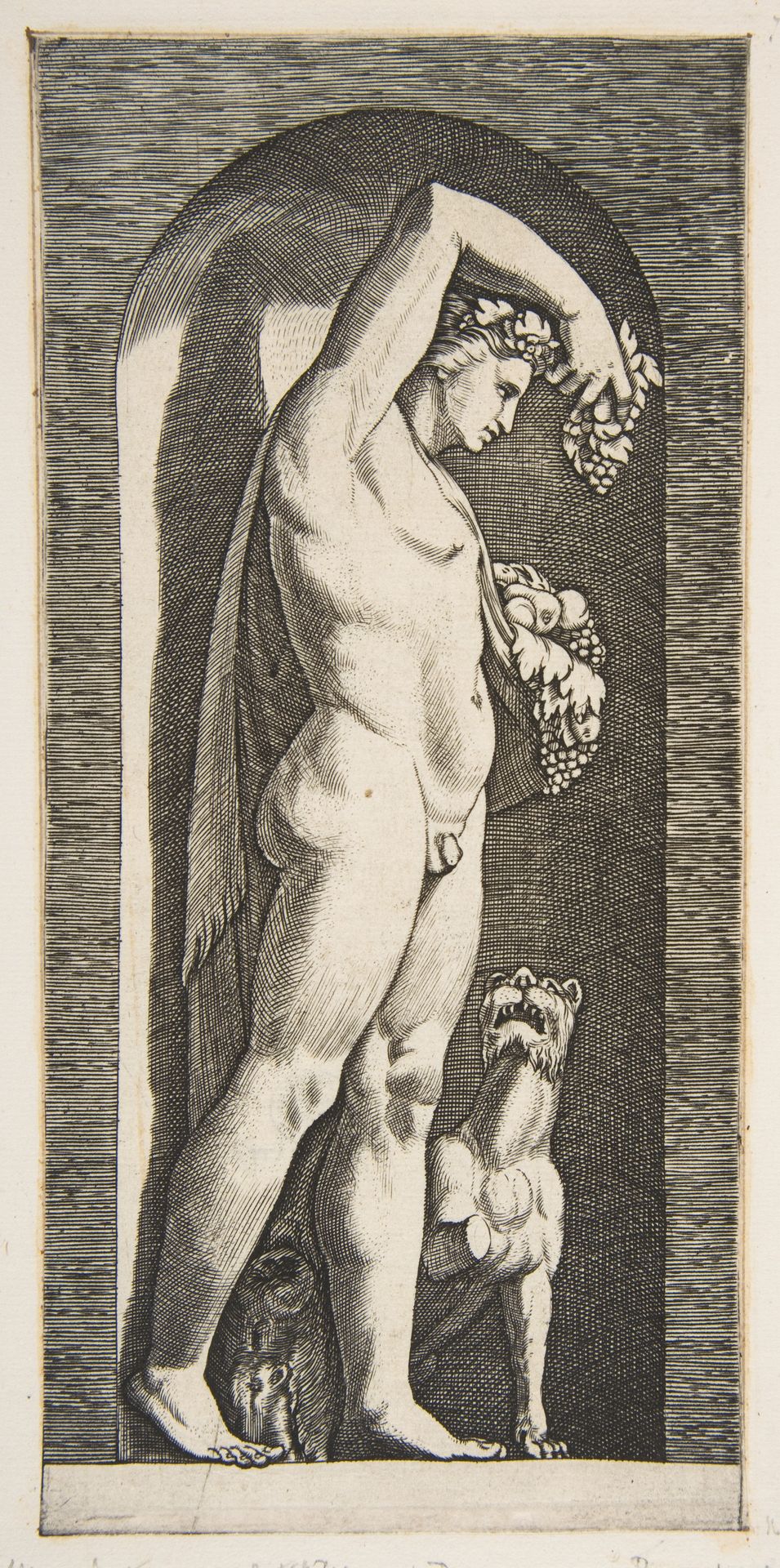 Bacchus standing in a niche holding grapes in his raised right hand, fruit in his left hand, a dog lower right by Marco Dente