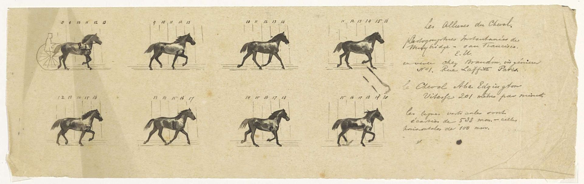 Abe Edgington, Trotting (Copied from a Photograph Taken by Eadweard Muybridge in 1878) by Willem Constantijn Staring
