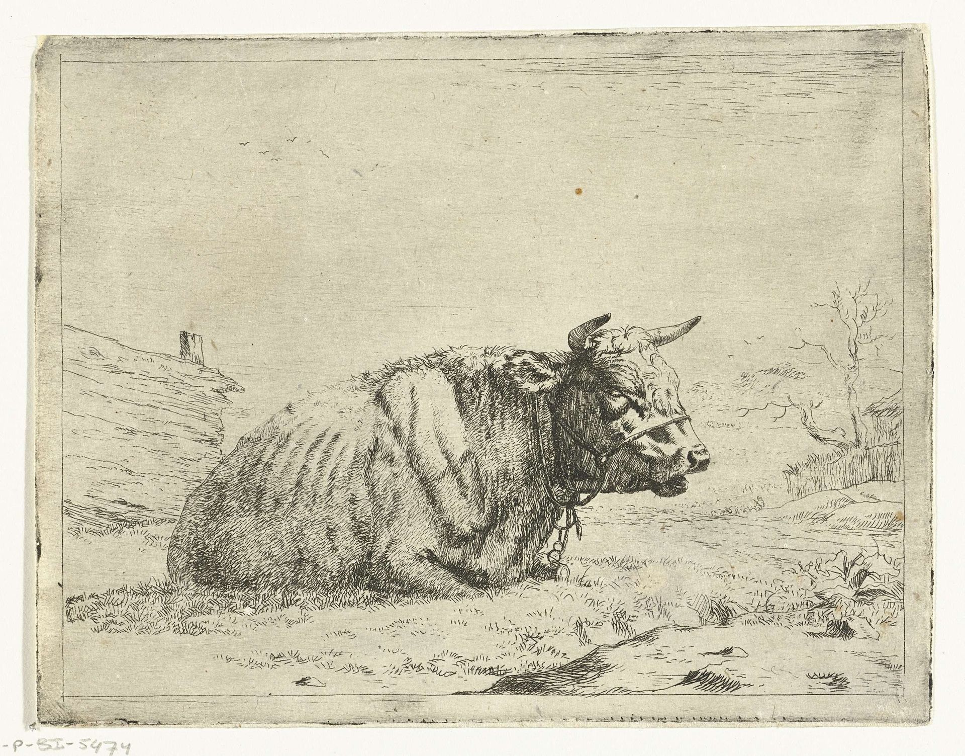 Rustende koe met halster by Marcus de Bye