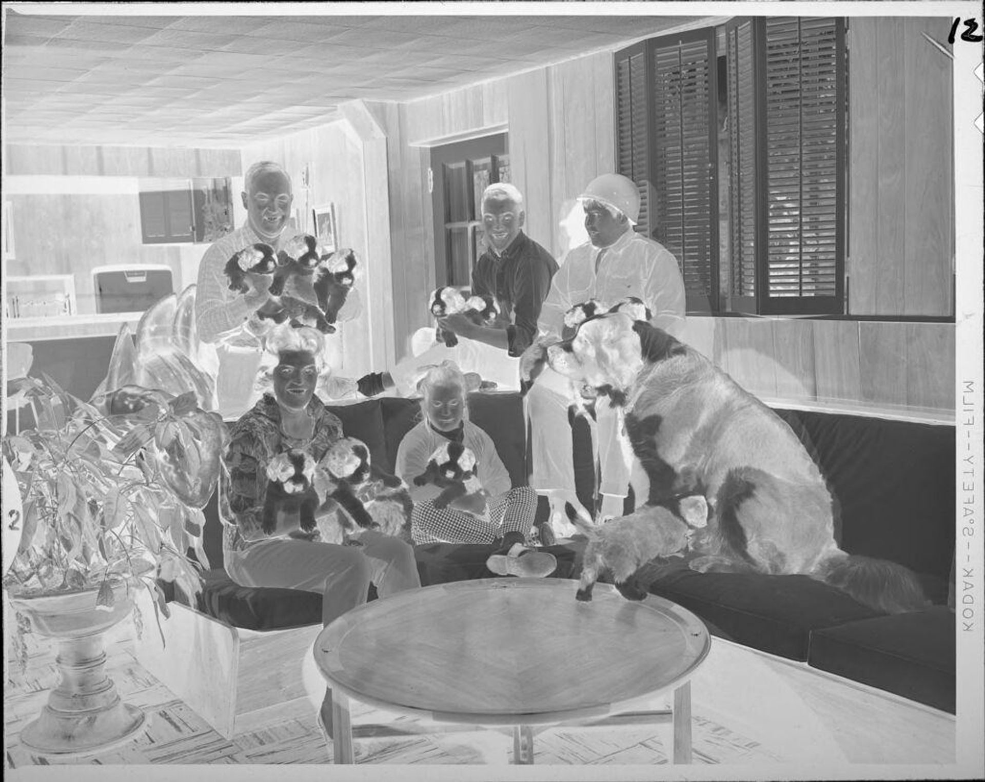 Untitled (family portrait with many dogs and puppies) by Lucian and Mary Brown
