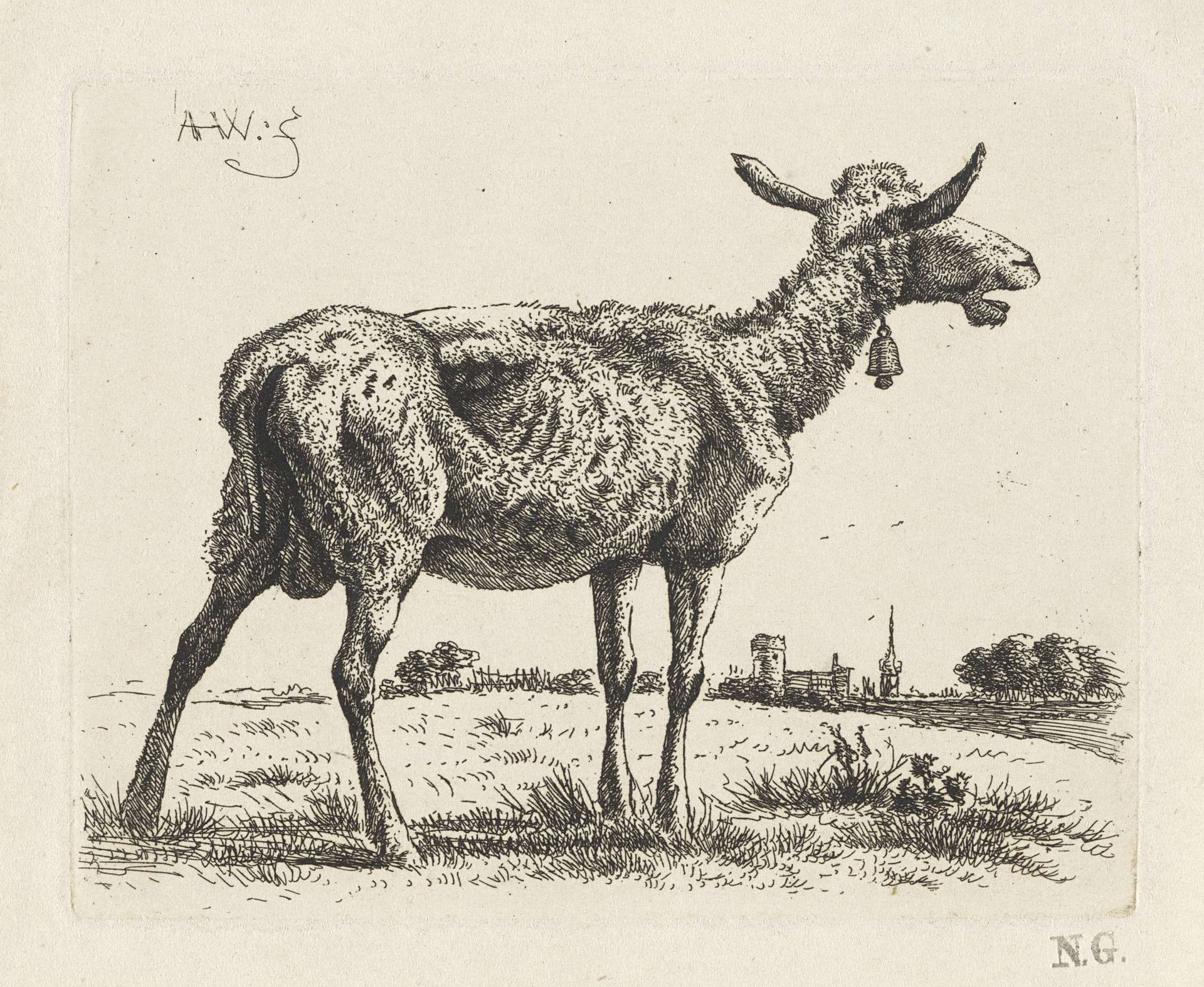 Mager schaap by Abraham Hendrik Winter