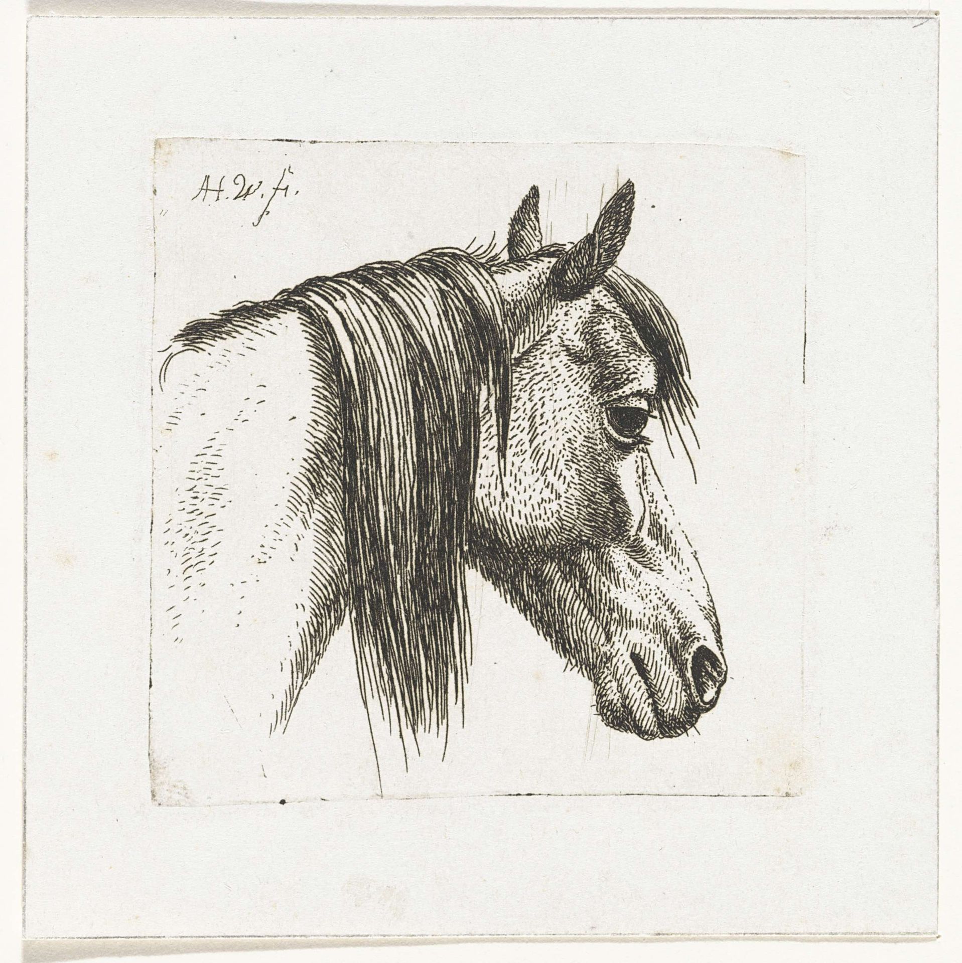 Paardenhoofd naar rechts by Abraham Hendrik Winter