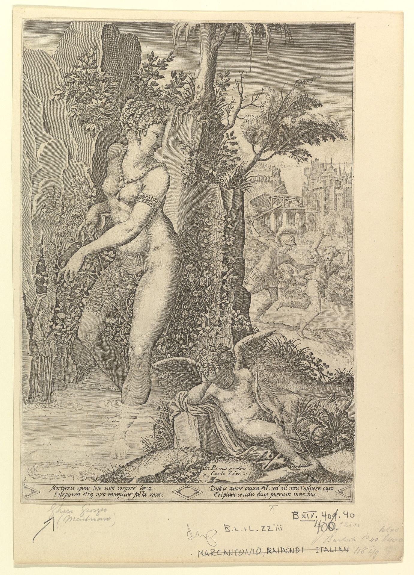 Venus Pricked by the Thorns of a Rose Bush; Cupid Asleep in the Foreground by Giorgio Ghisi