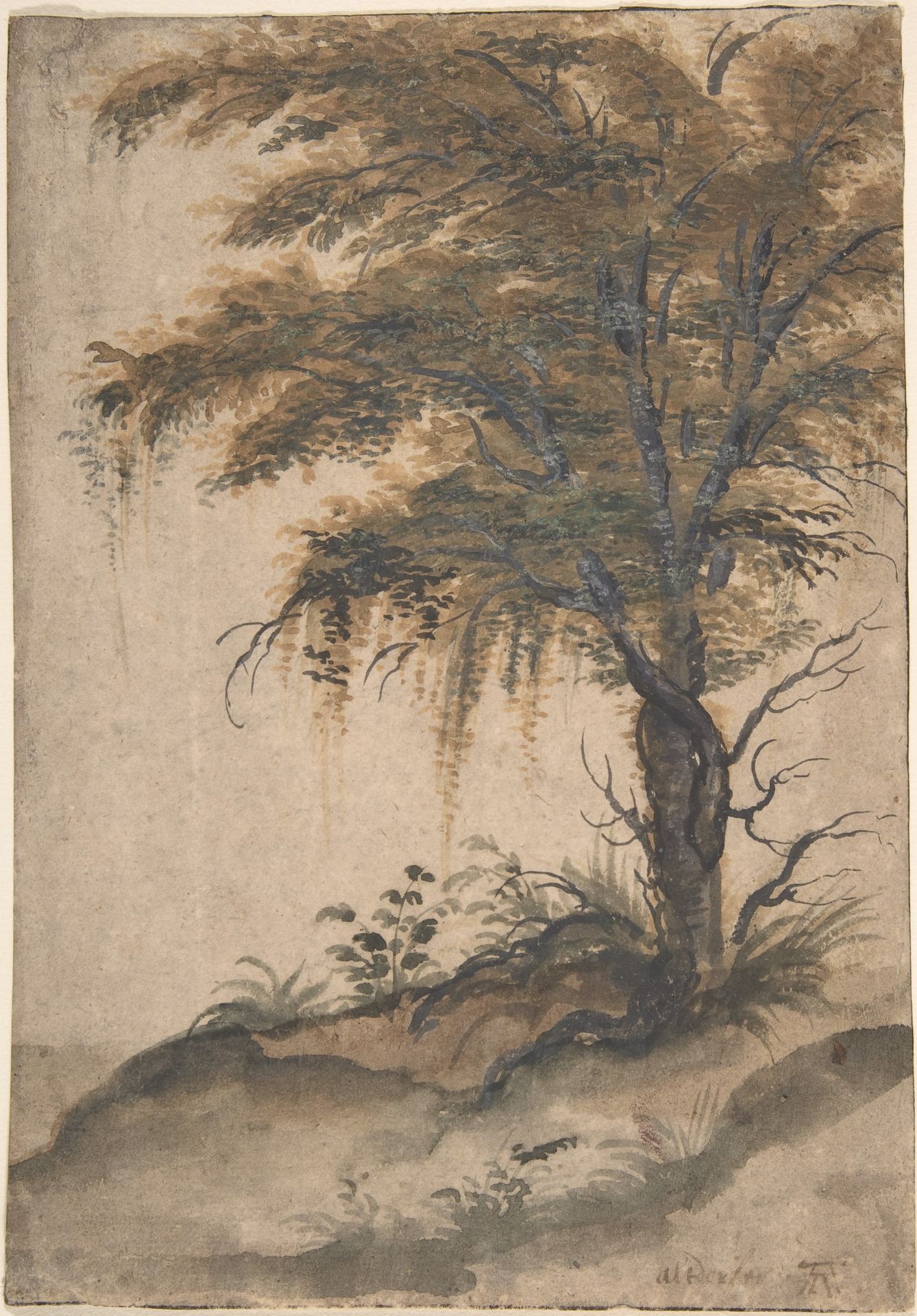 Study of a Tree by Marten van Valckenborch