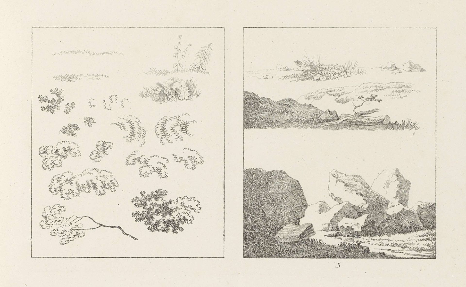 Albumblad met twee voorstellingen: links gebladerte, rechts bodembekking en een rotspartij by Max Josef Wagenbauer