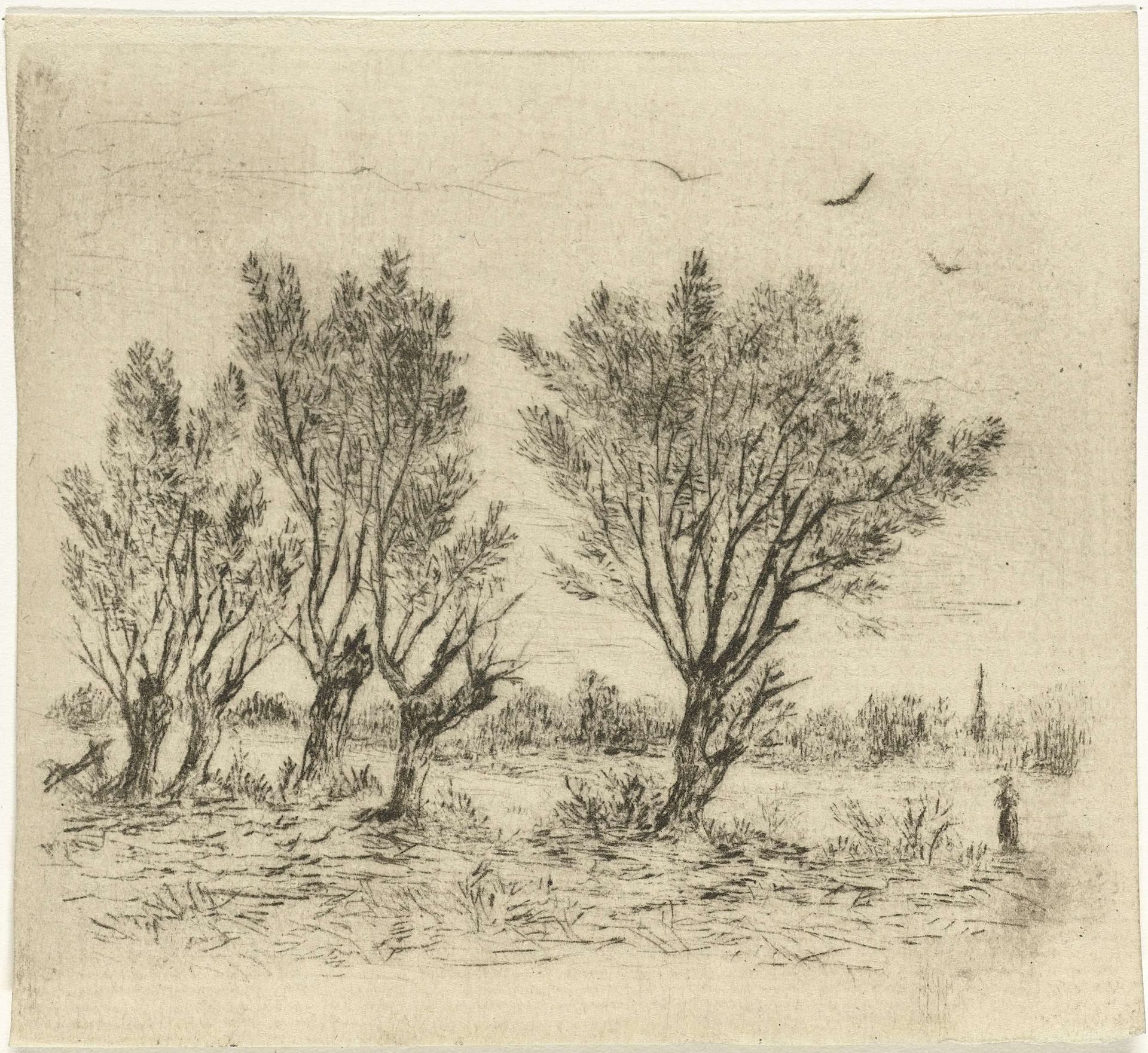 Wilgenrij by Johan Frederik Croockewit