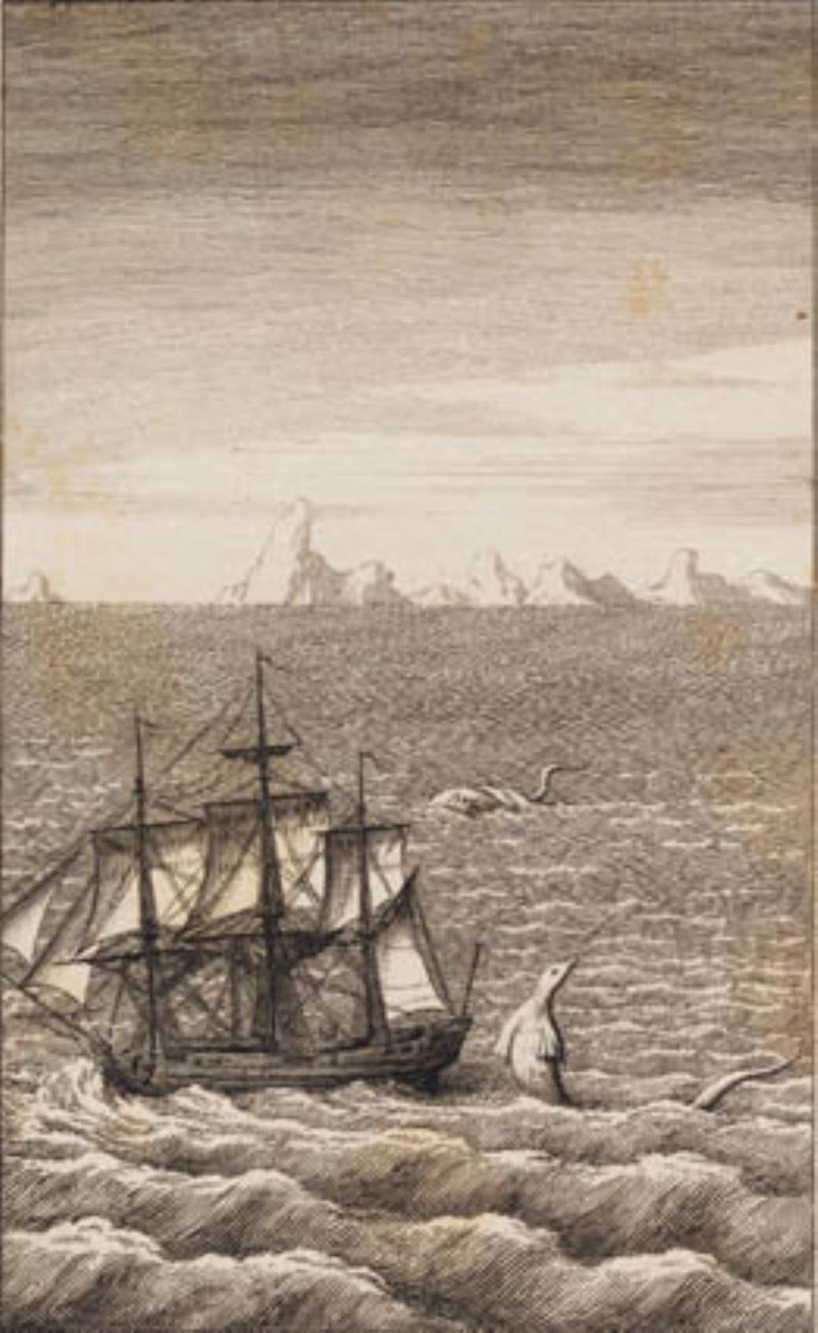 Skibet og sødyret by J.F. Clemens
