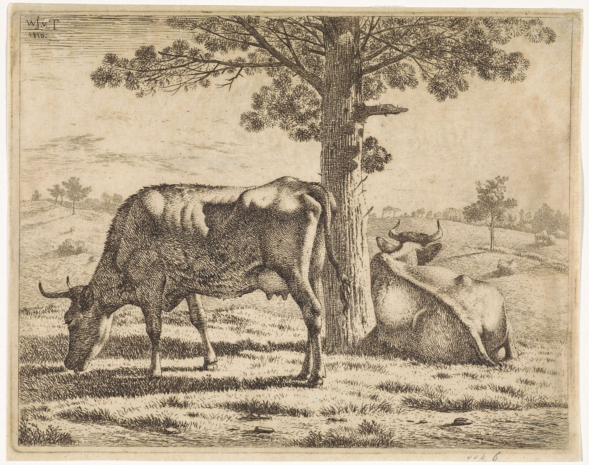 Twee koeien bij een boom by Wouter Johannes van Troostwijk