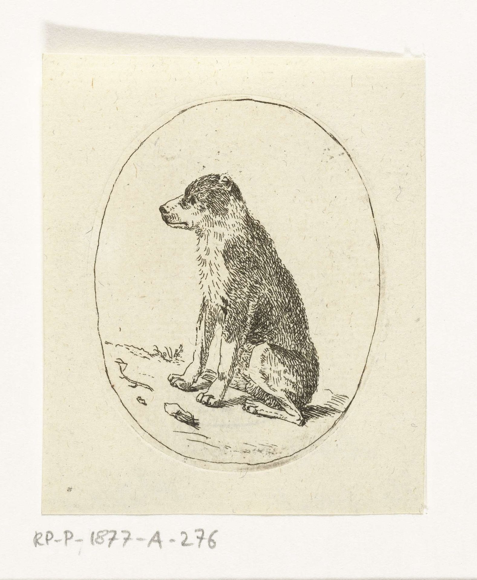 Zittende hond by Anthonie van den Bos