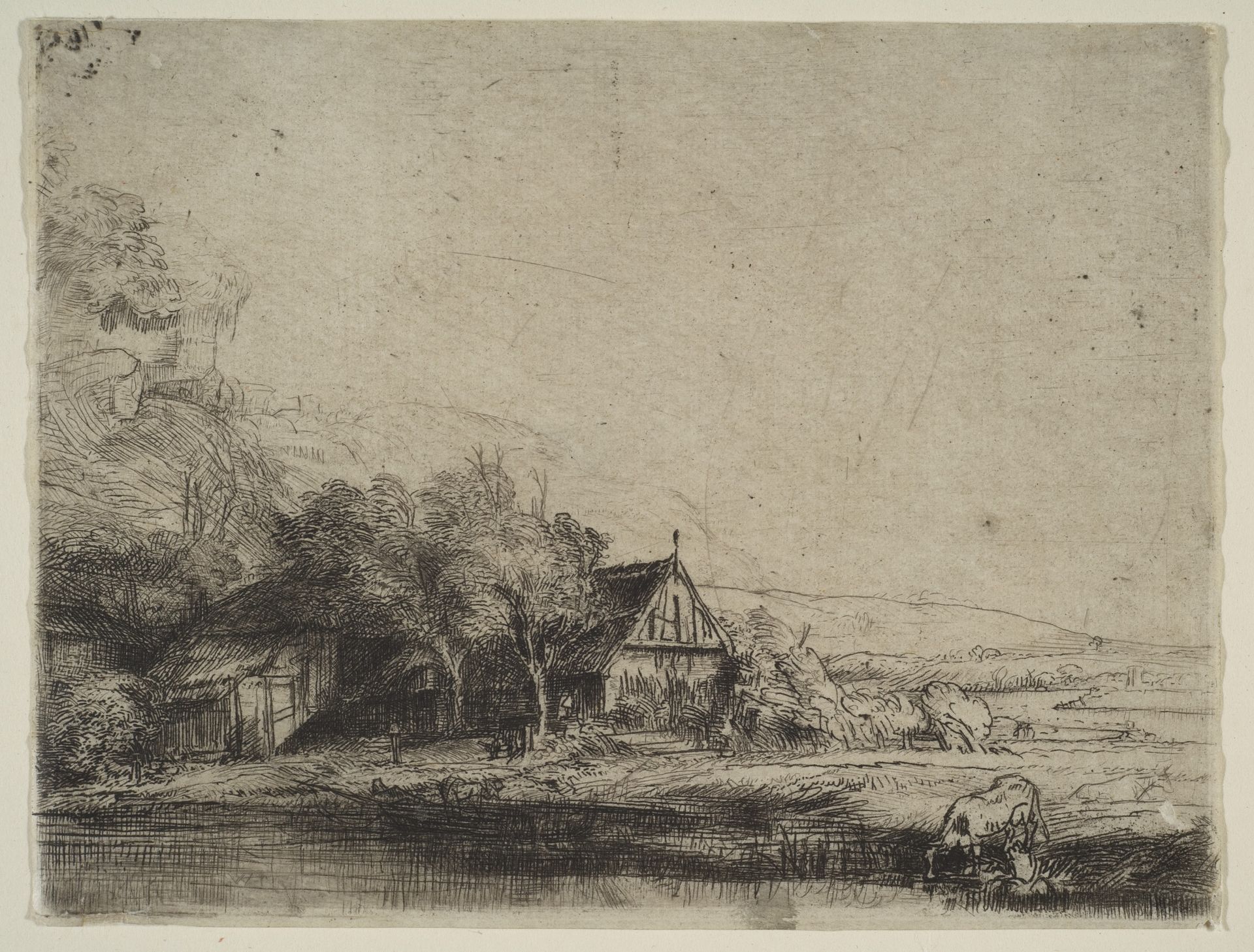 Landscape with a Cow Drinking by Rembrandt van Rijn