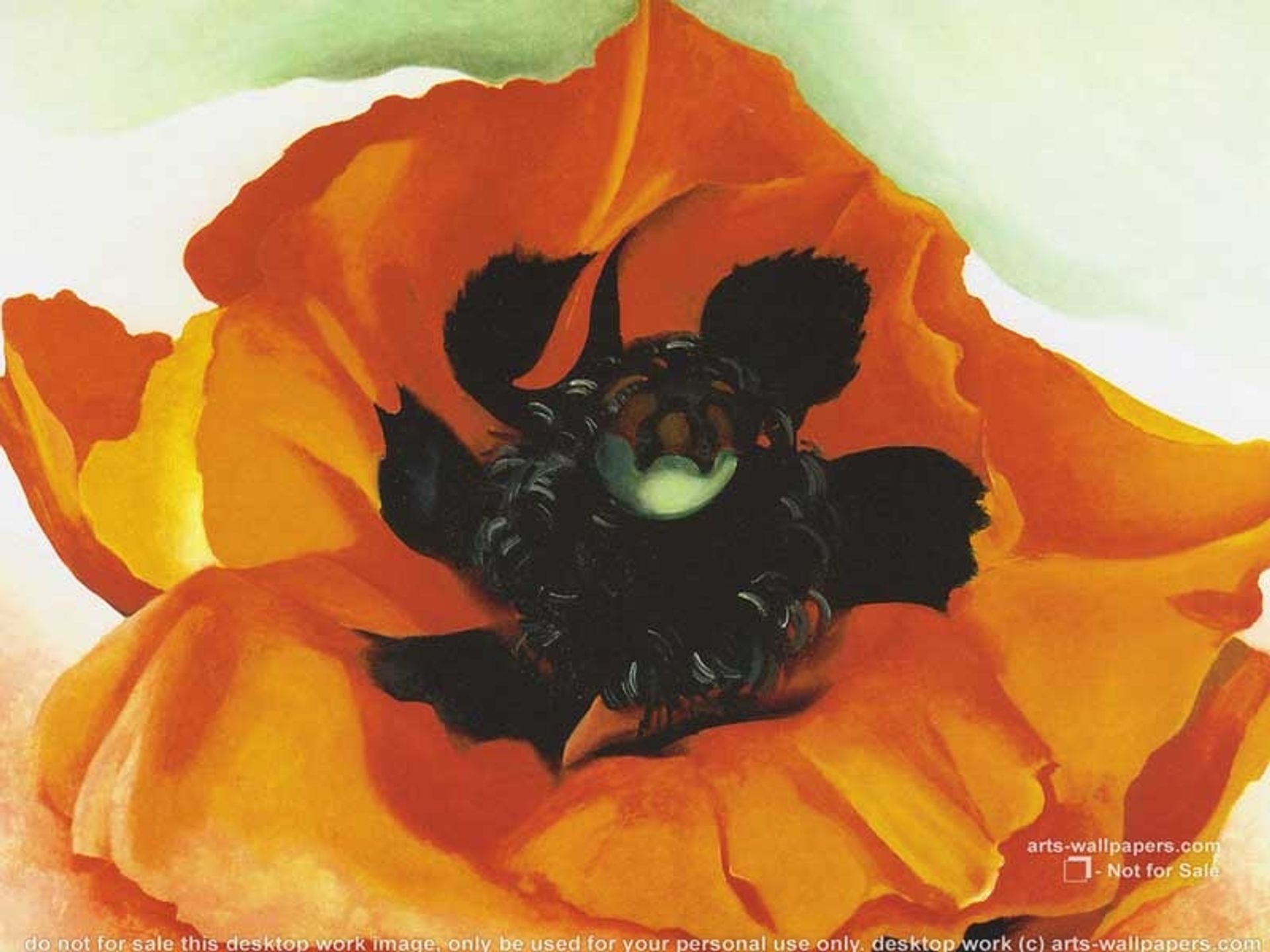 Poppy 4 by Georgia O'Keeffe