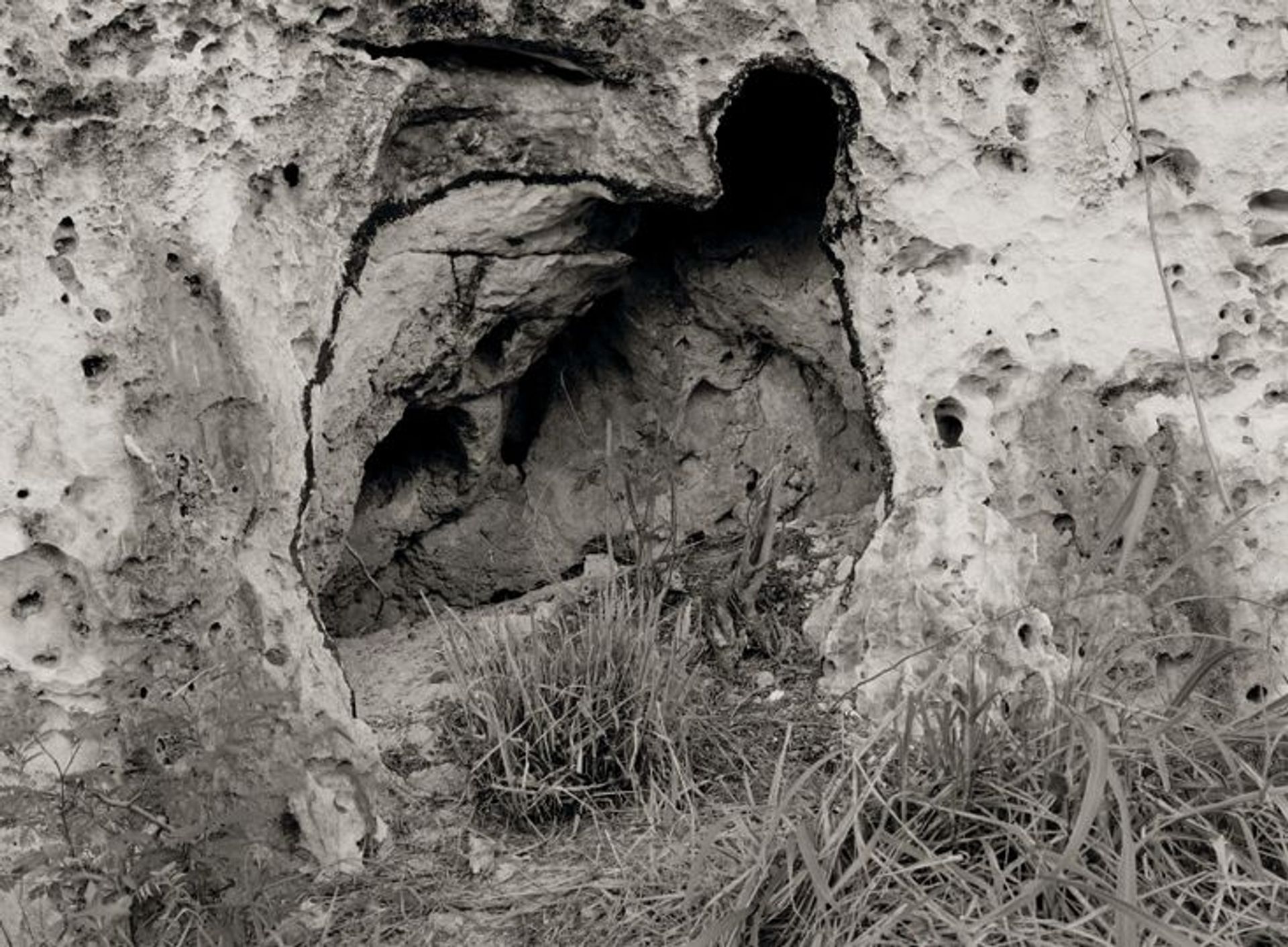 Untitled by Ana Mendieta