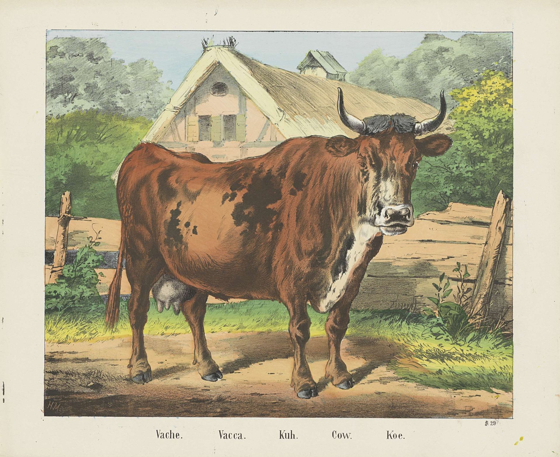 Vache. / Vacca. / Kuh. / Cow. / Koe by firma Joseph Scholz
