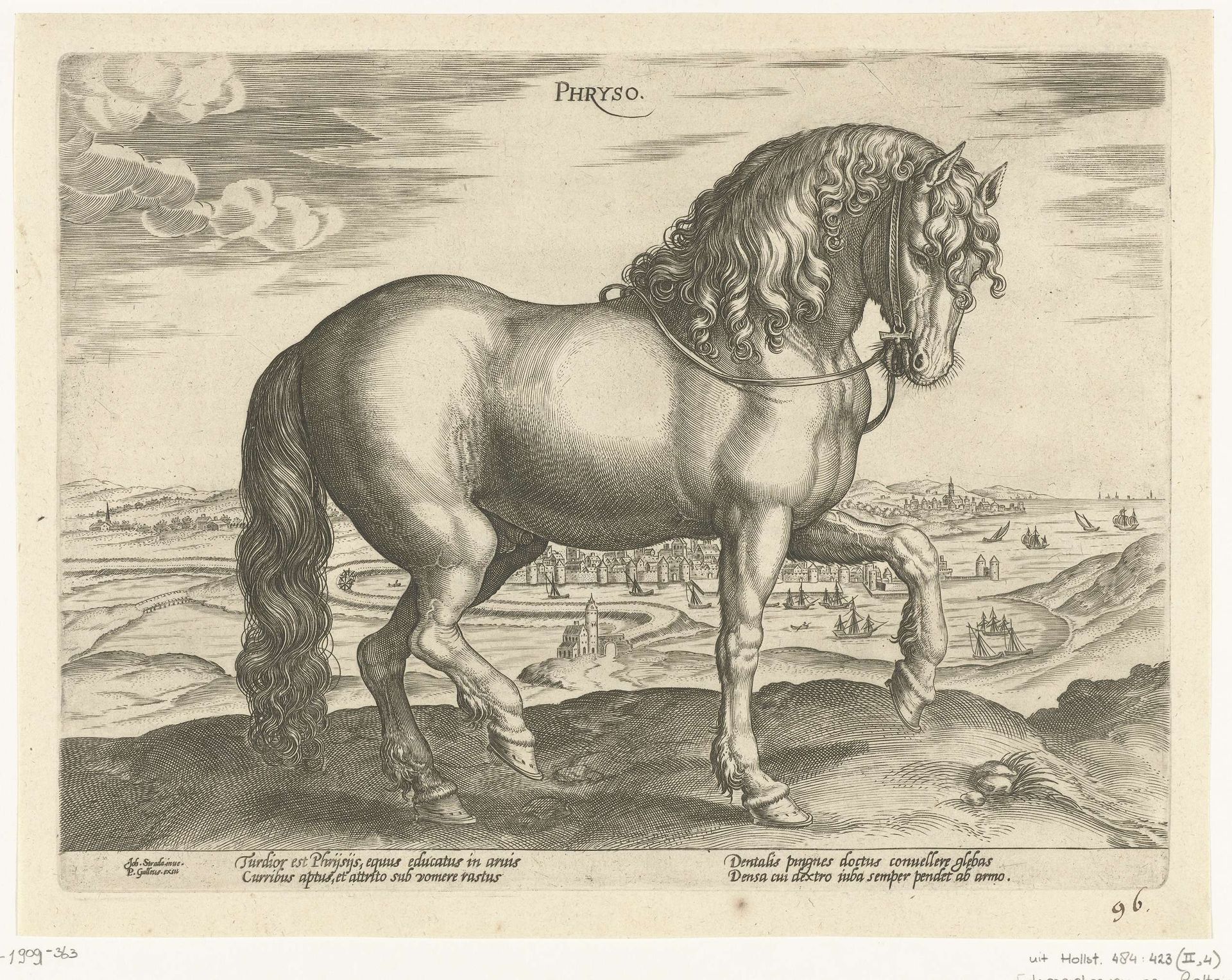 Paard uit Friesland by Hendrick Goltzius