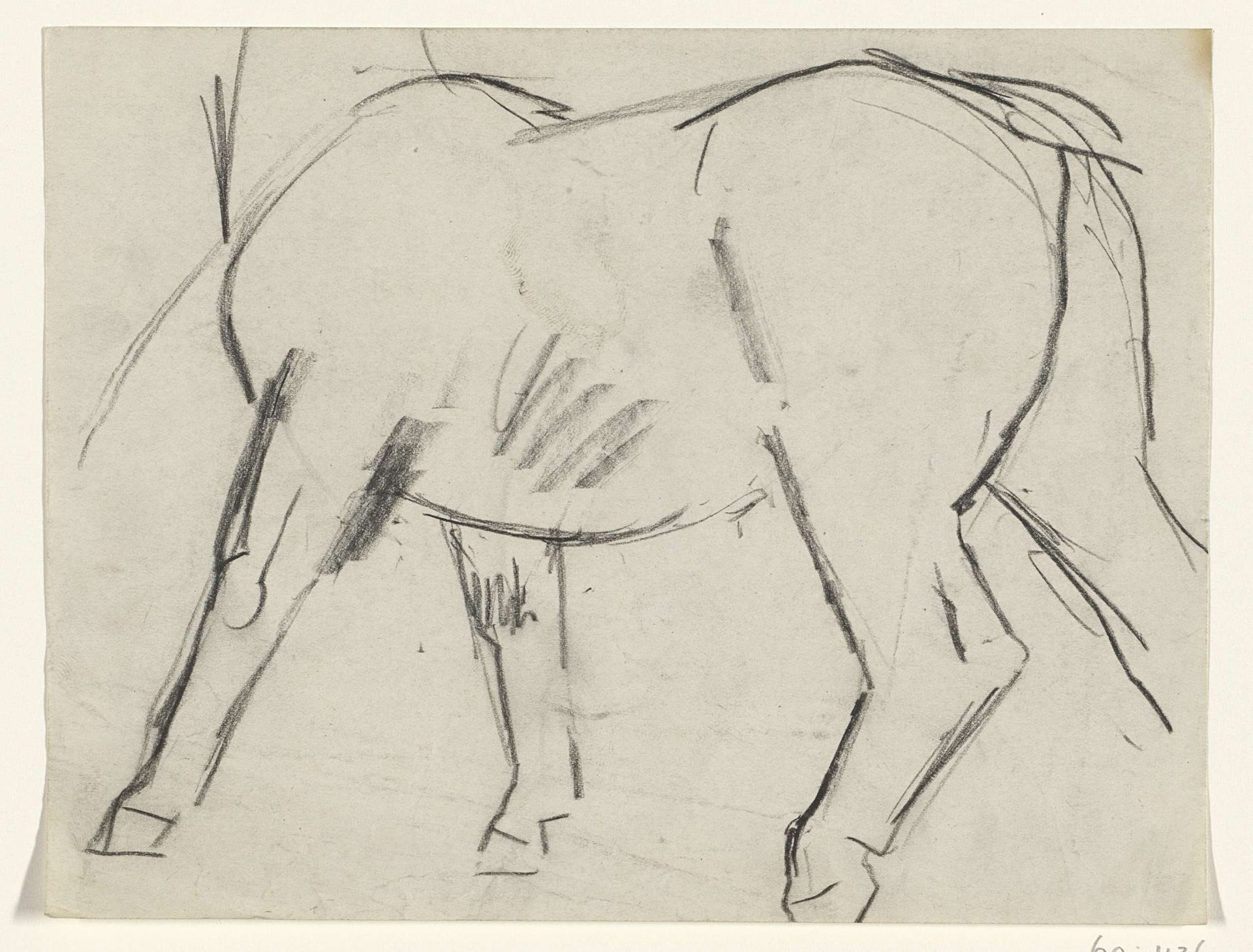 Lichaam van een paard by Leo Gestel