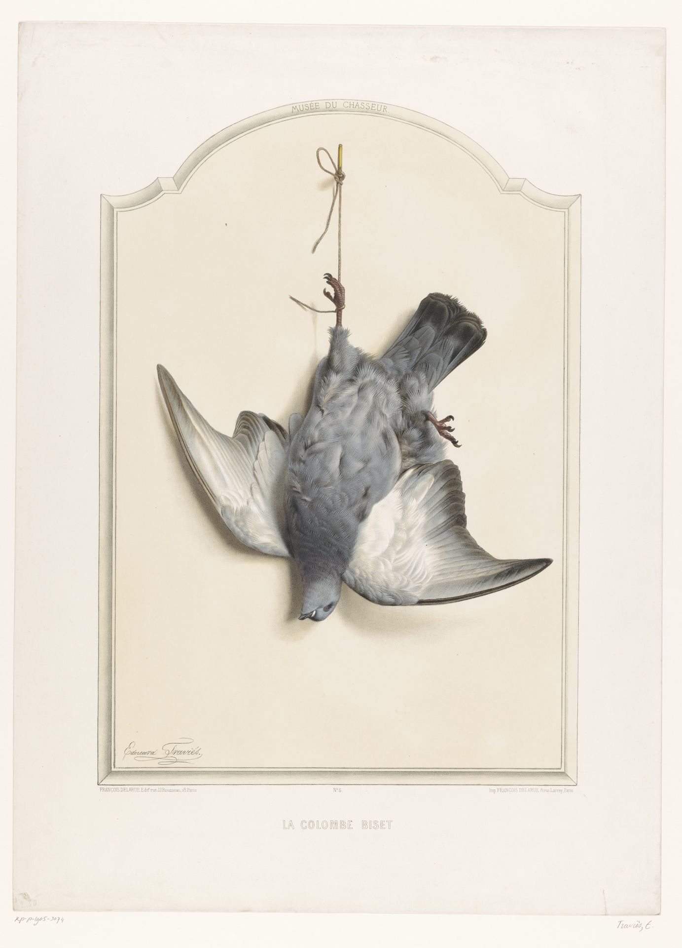 Dode rotsduif hangend aan een poot by Édouard Traviès