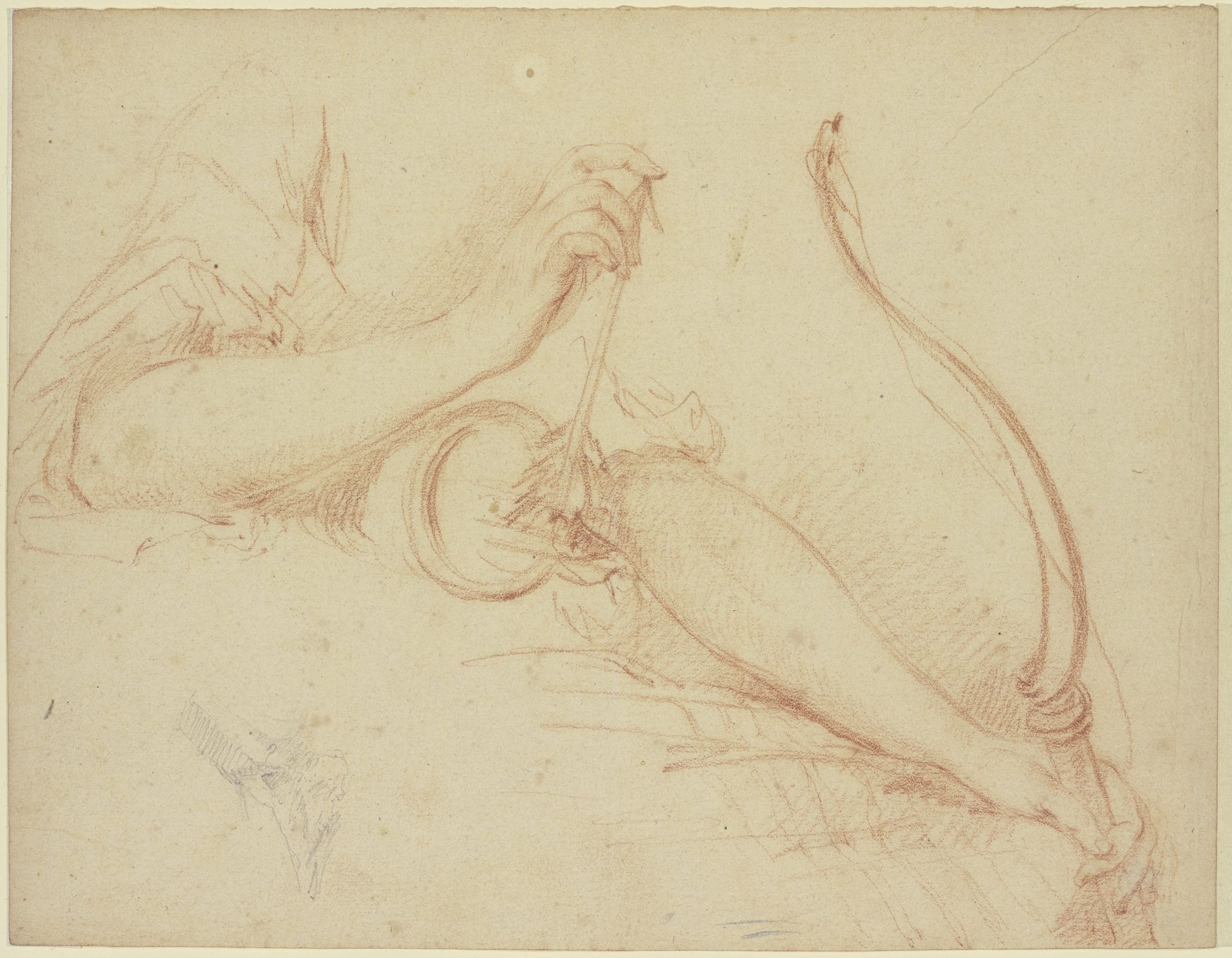 Armstudie mit Pfeil und Bogen by Jean-Marc Nattier