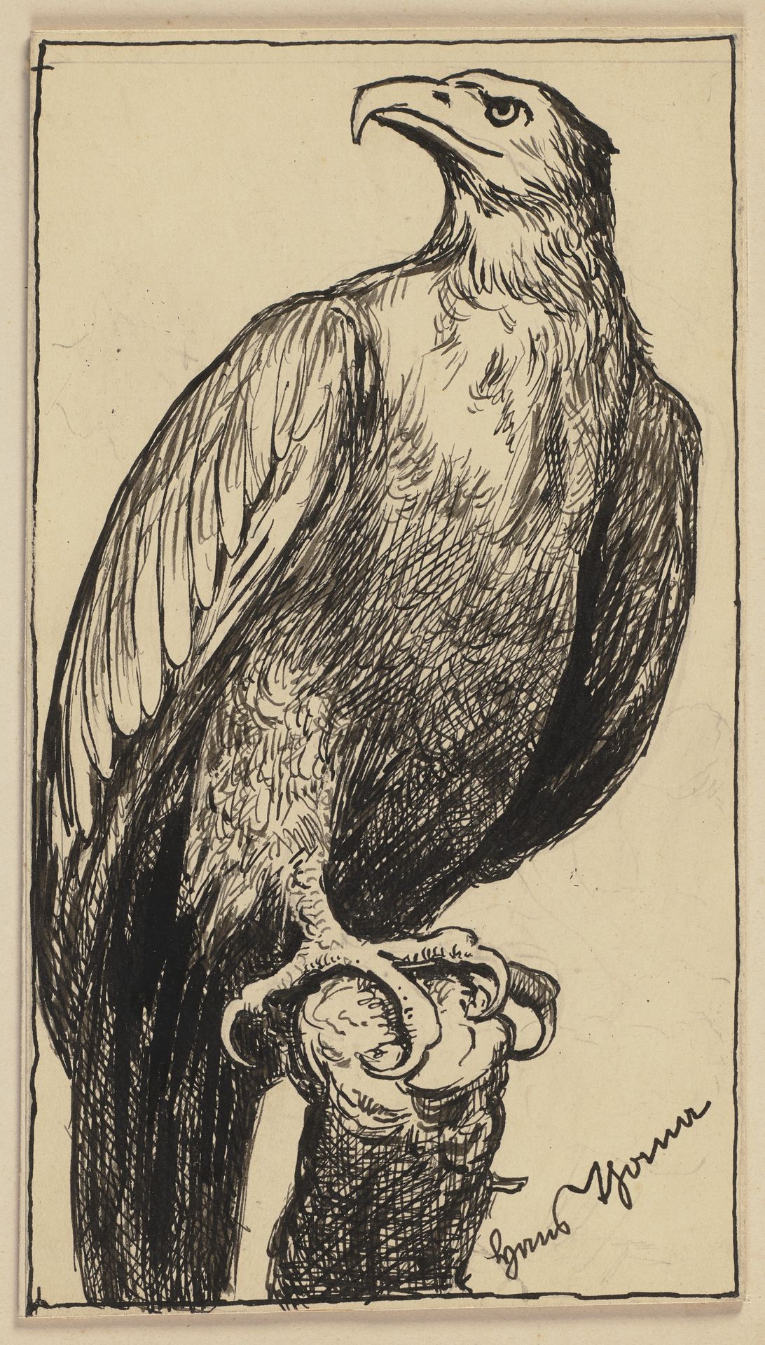 Drawing for the primer_ Eagle by Hans Thoma
