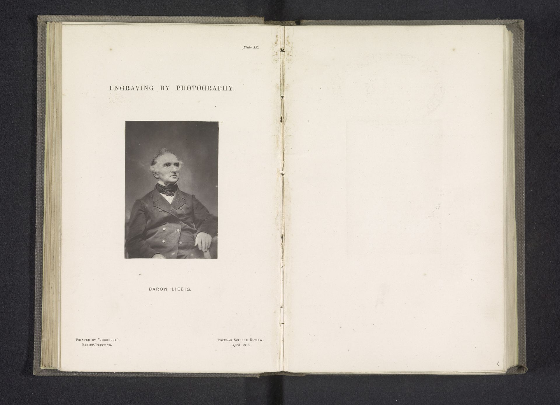 Baron Liebig by Anonymous