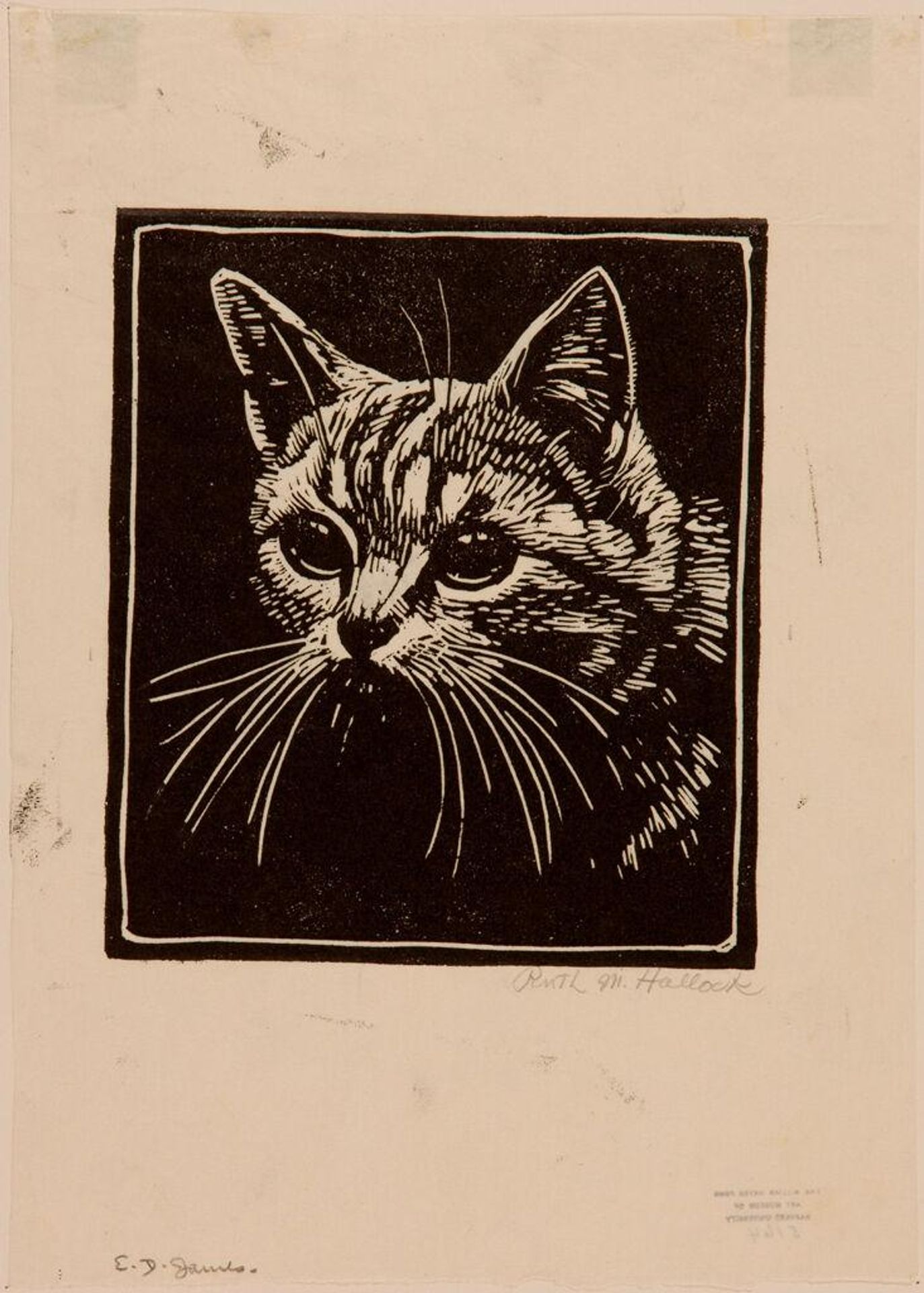 Cat by Ruth Mary Hallock