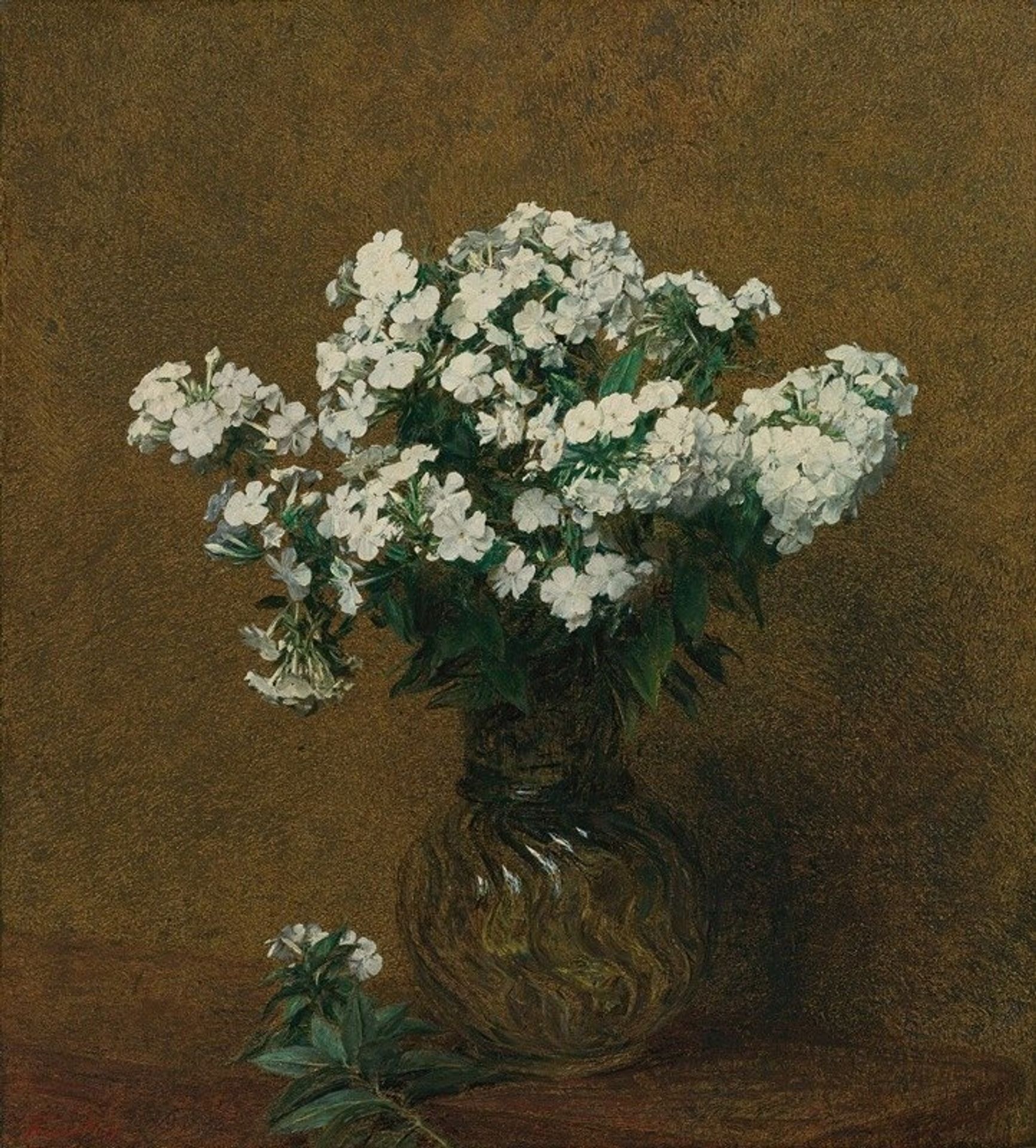 Phlox Blancs Dans Un Vase by Henri Fantin-Latour