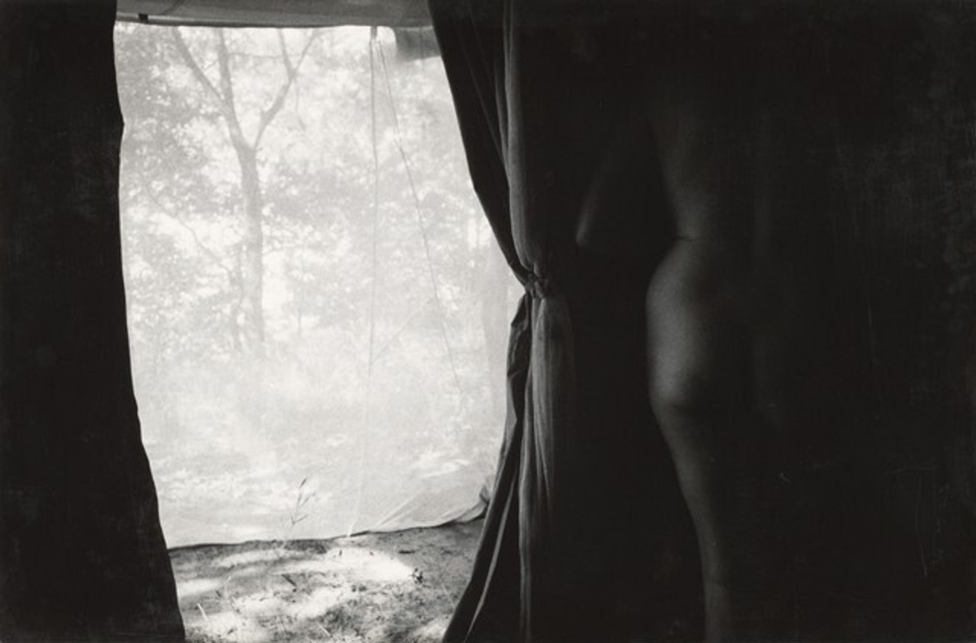 Eleanor, Michigan by Harry Callahan