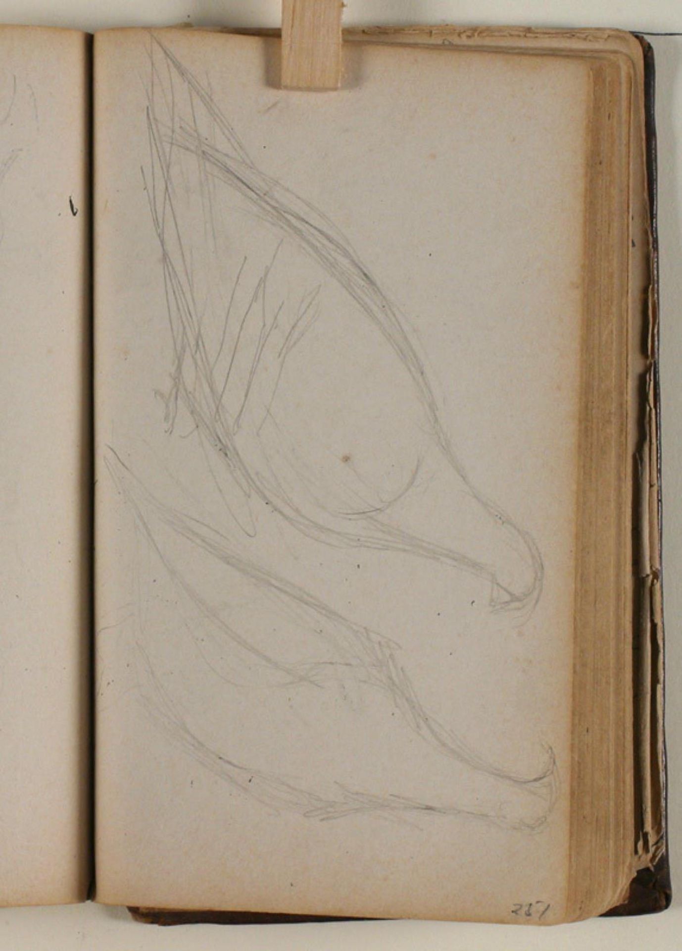 Studier af duer by Niels Larsen Stevns