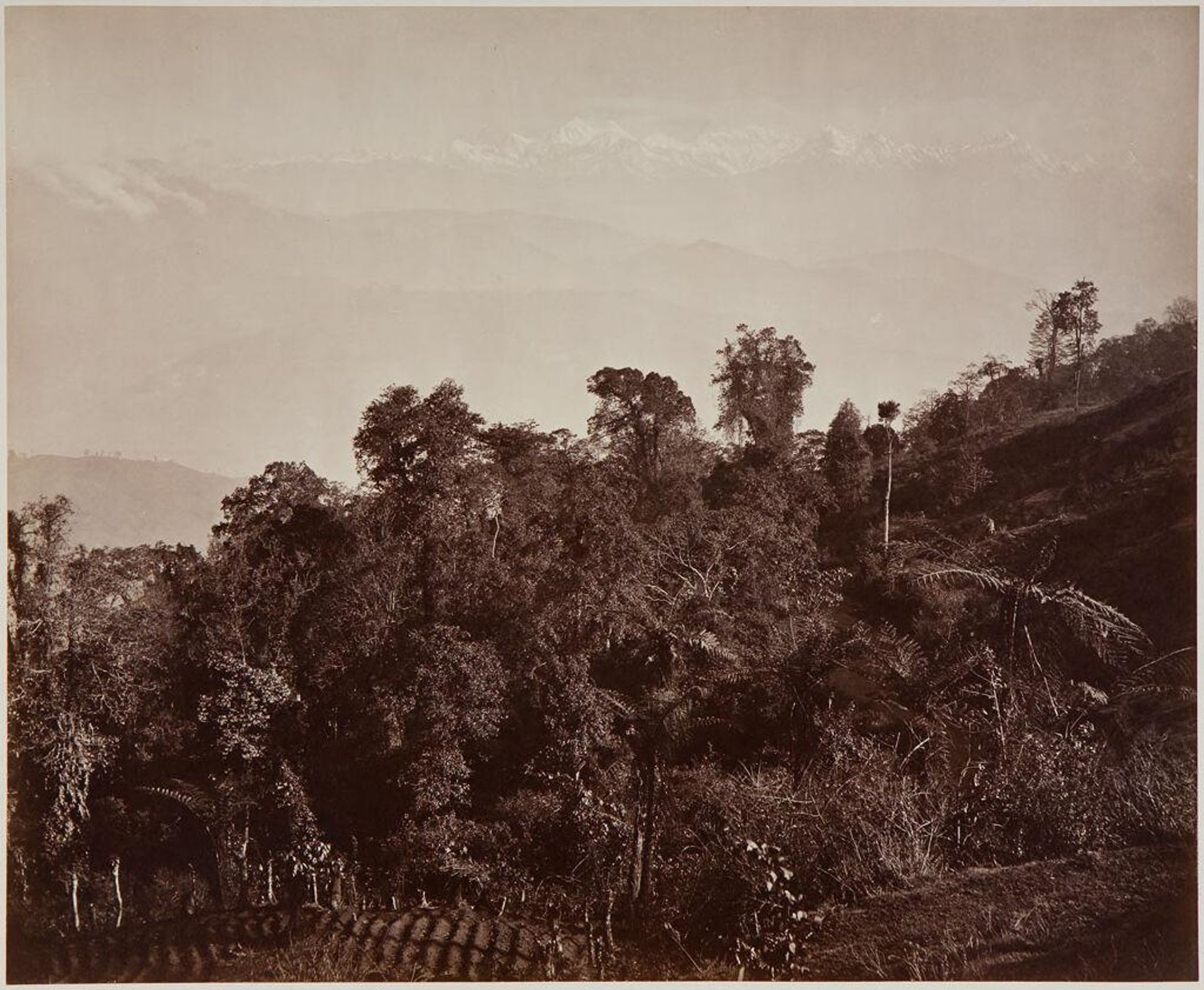 Darjeeling; View from Leebong, Looking Towards the Snowy Range by Samuel Bourne