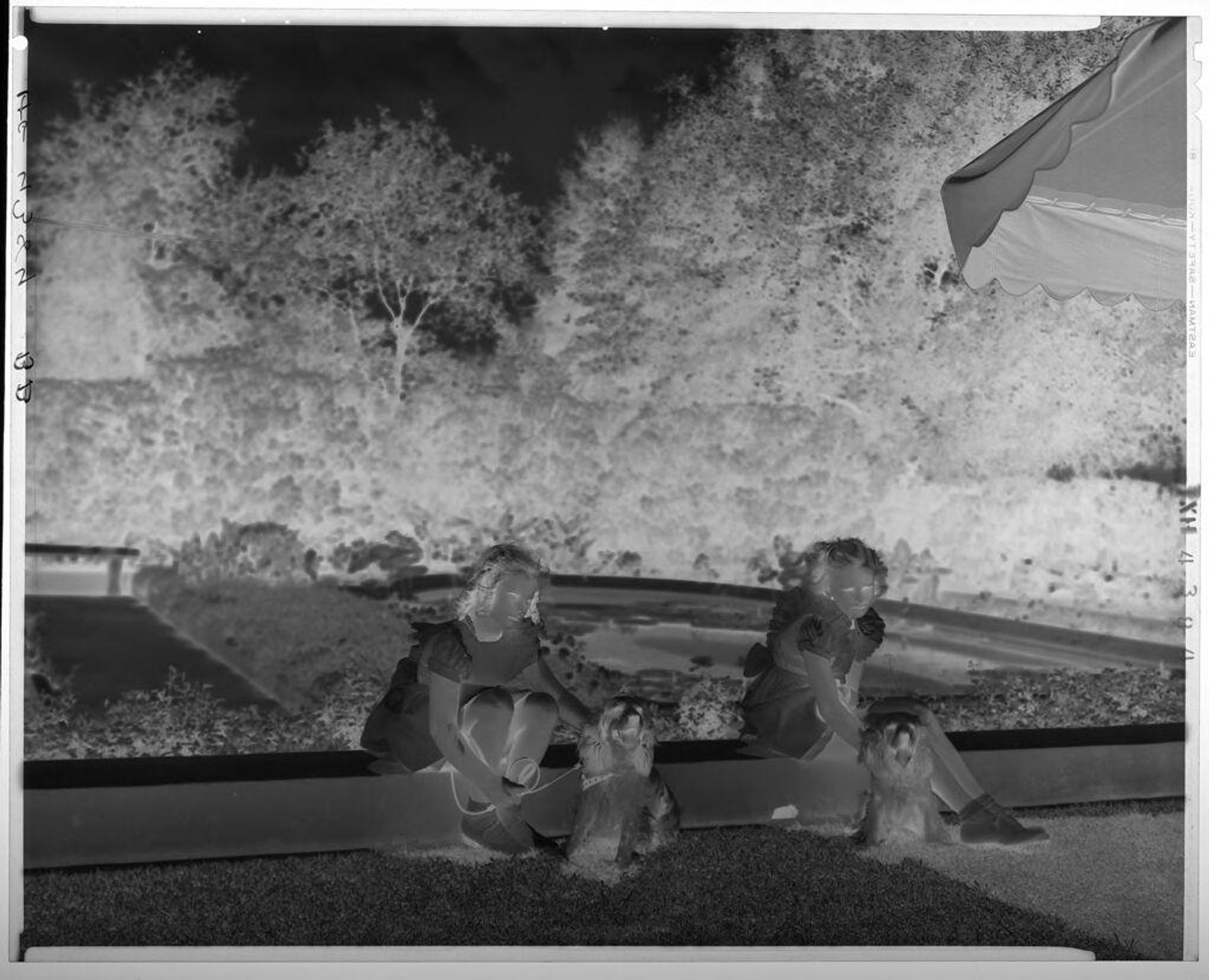 Untitled (two girls sitting with two dogs on ledge in yard) by Paul Gittings