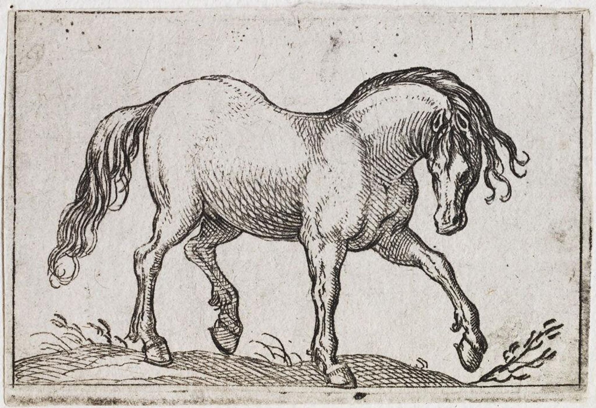 Horse Walking to the Right by Antonio Tempesta