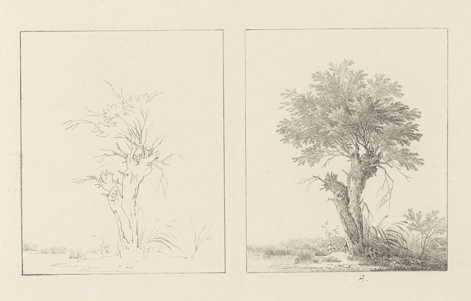 Albumblad met twee voorstellingen van twee wilgen: links het ontwerp, rechts de uitvoering by Max Josef Wagenbauer