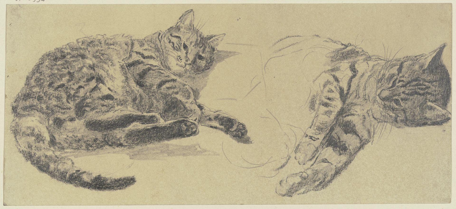 Studies of cats by Wilhelm Gentz