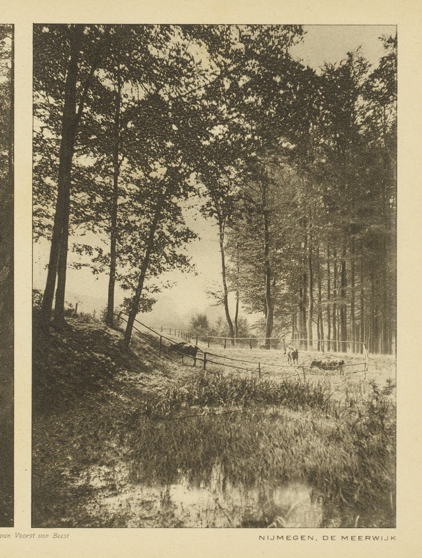 Gezicht op buurtschap de Meerwijk bij Berg en Dal, Gelderland by Jan Pieter Voorst van Beest