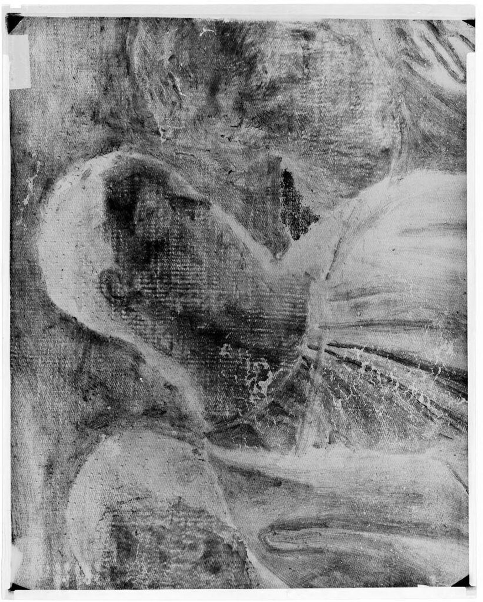 X-radiograph(s) of "Lucrezia Borgia ?" by Artist of original: Bartolomeo Veneto