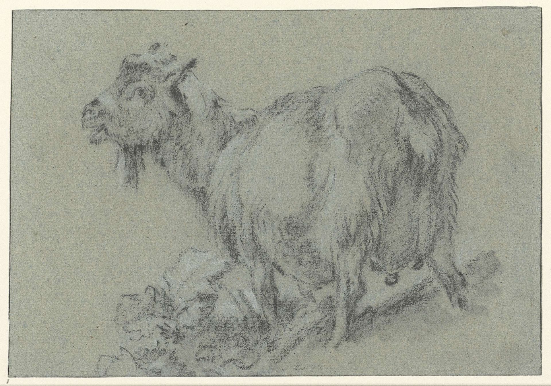 Staande geit, naar links by Jean Baptiste (le vieux) Huet