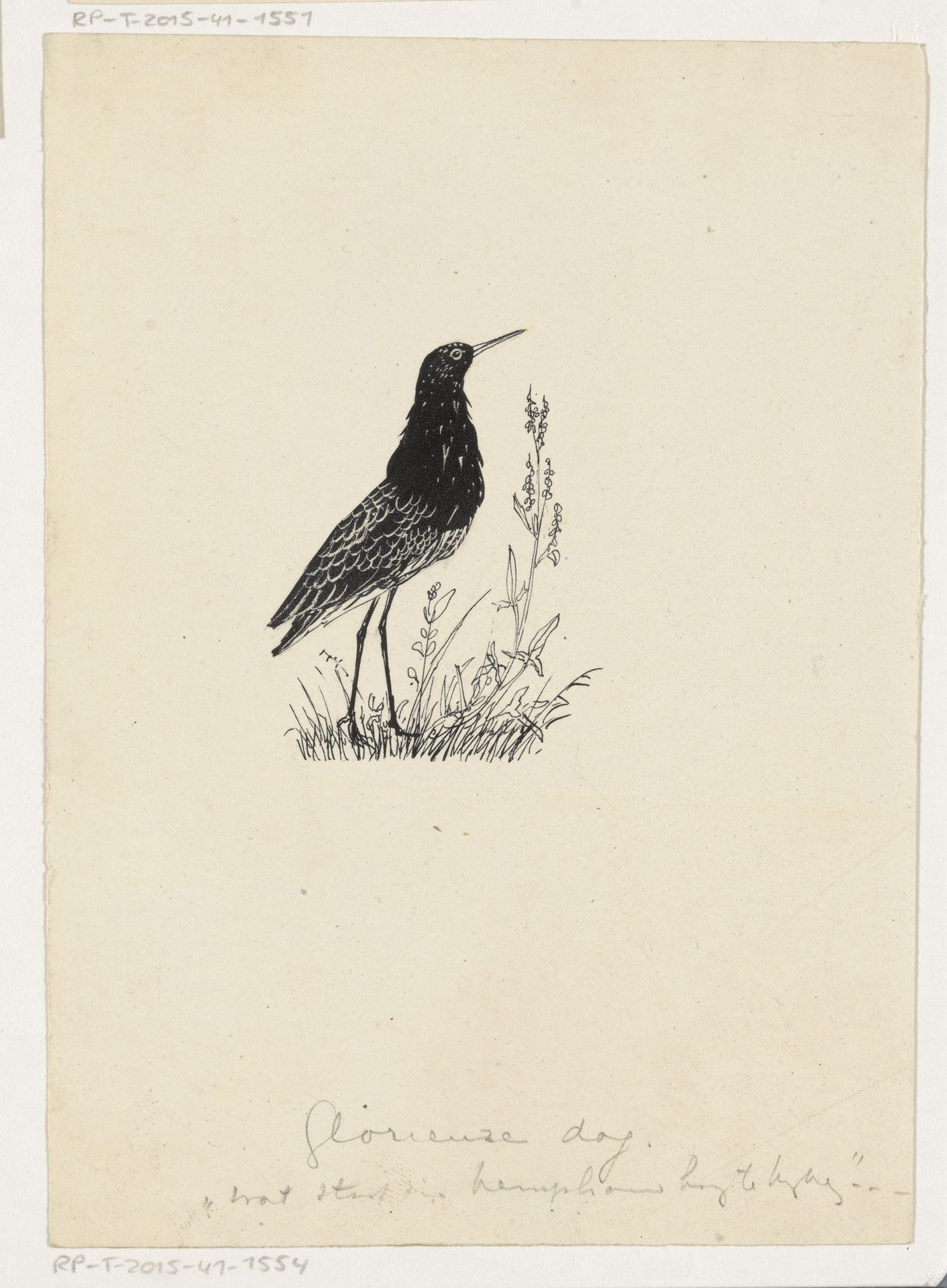 Kemphaan by Henri Verstijnen