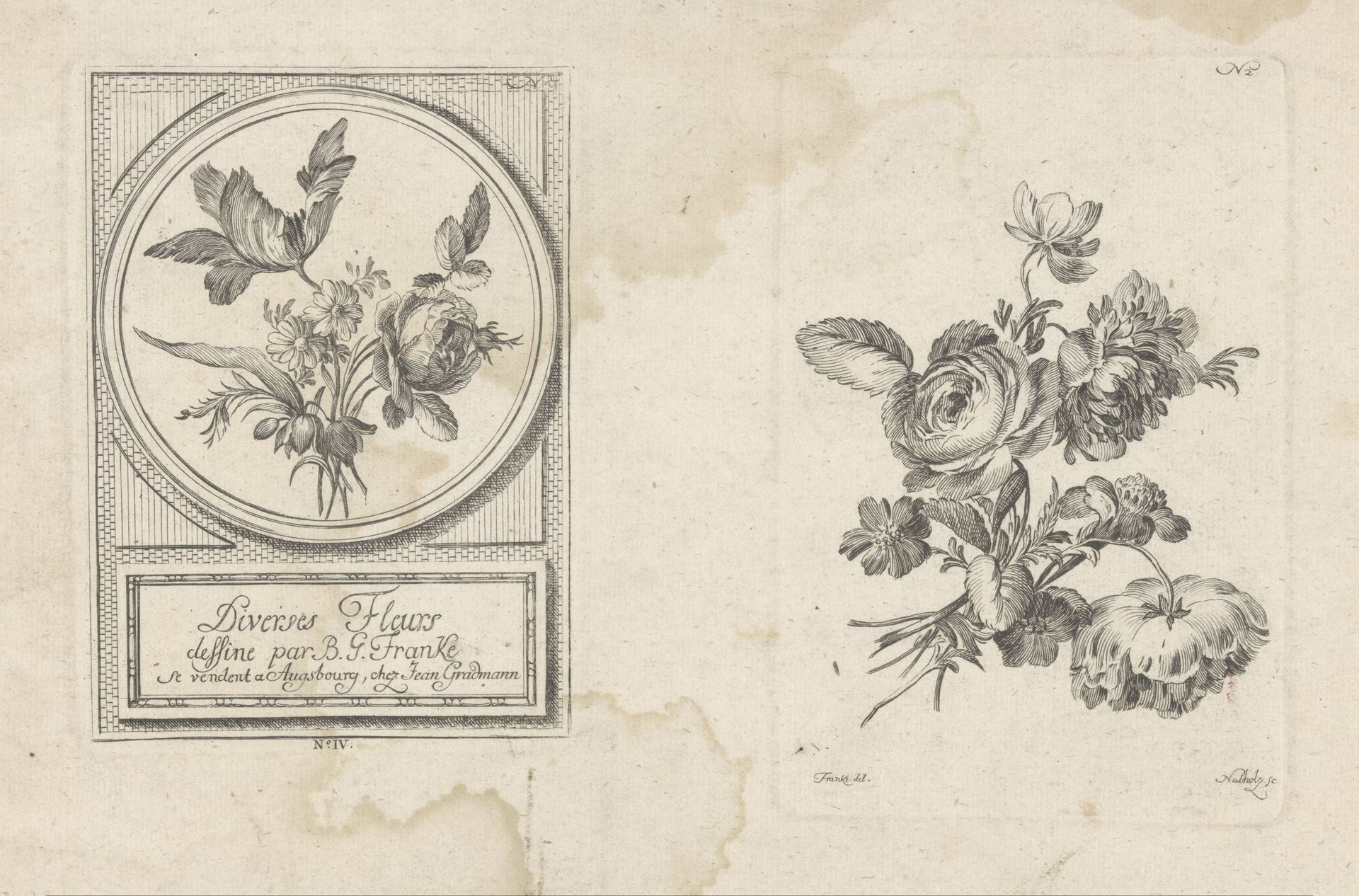 Diverse bloemen by Johann Christoph Nabholz